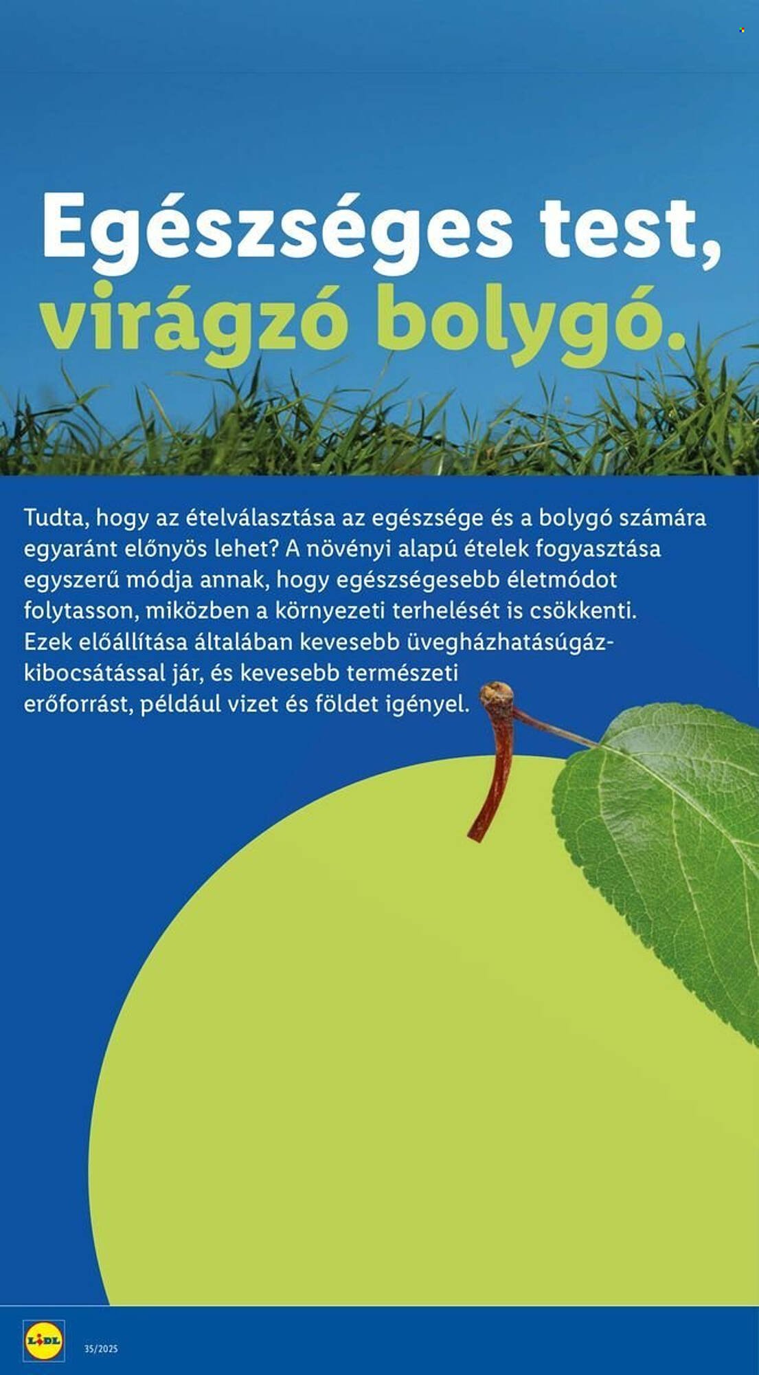 Lidl akciós újság (2025-08-28 - 2025-09-03)
