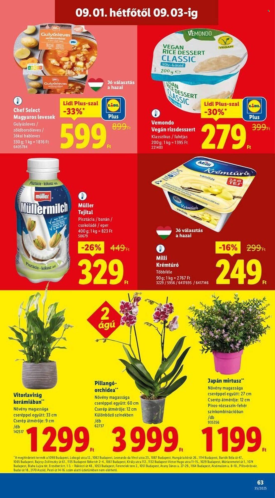 Lidl akciós újság (2025-08-28 - 2025-09-03)