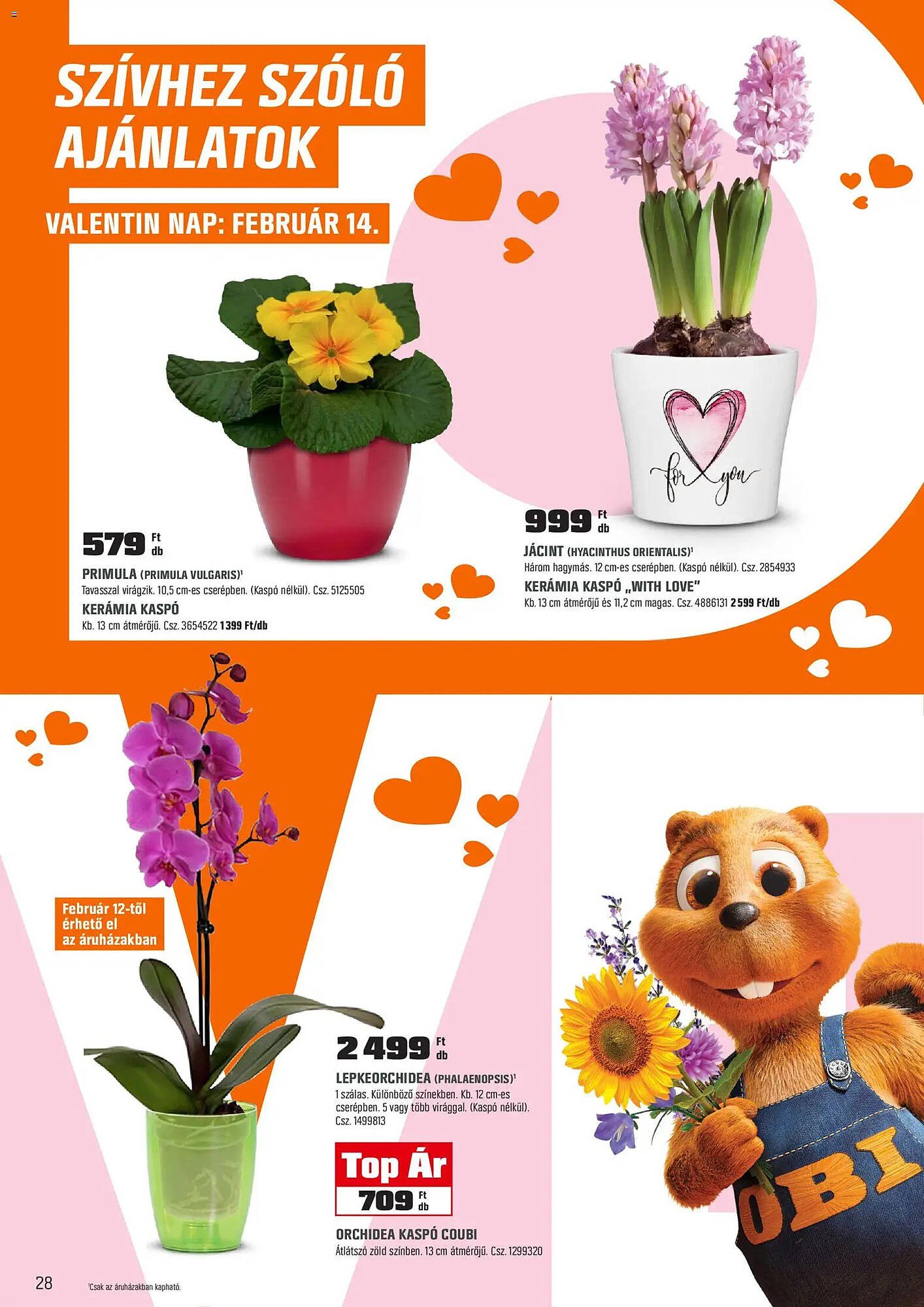 OBI akciós újság (2026-02-03 - 2026-03-01)