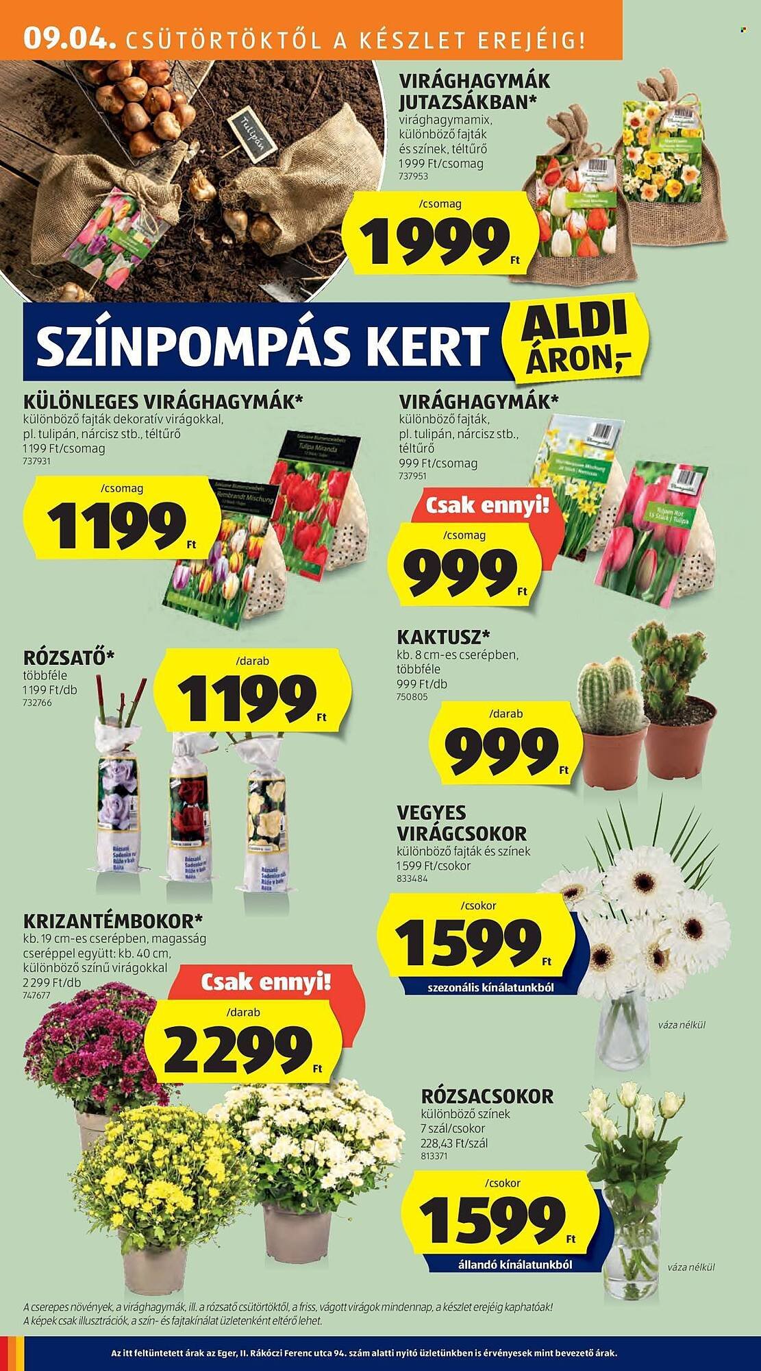 ALDI akciós újság (2025-09-04 - 2025-09-10)