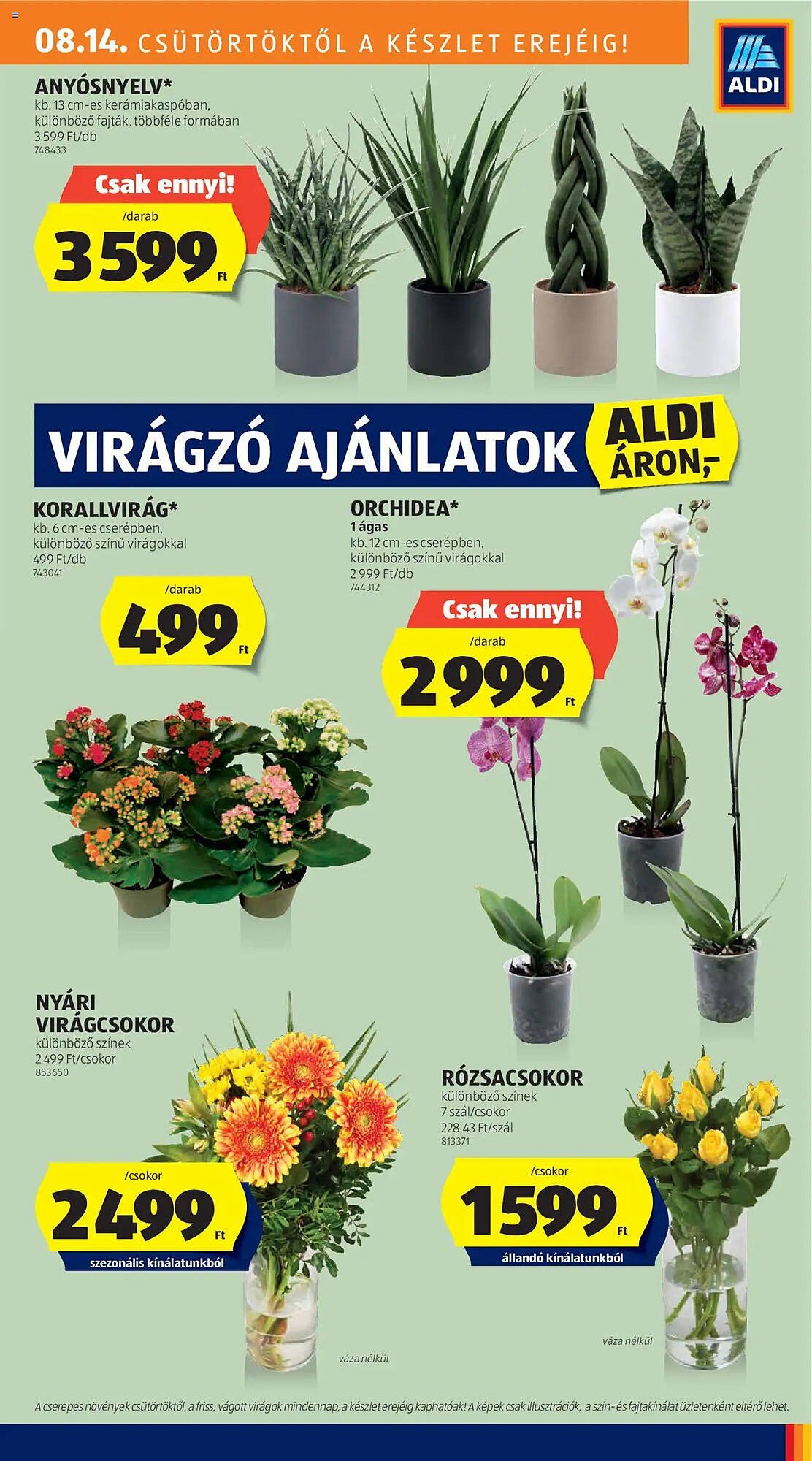 ALDI akciós újság (2025-08-14 - 2025-08-19)