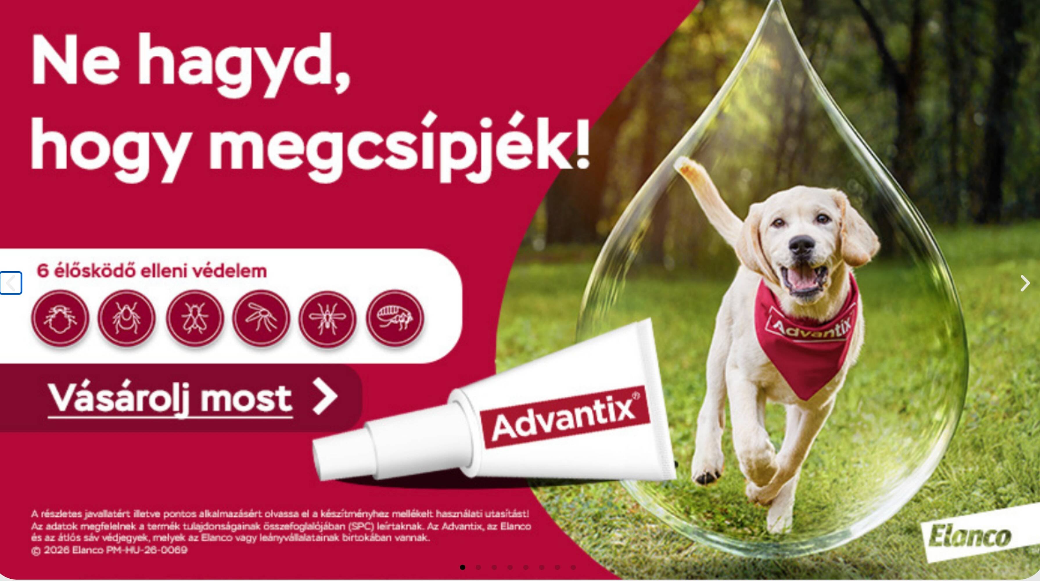Alpha Zoo akciós újság (2026-05-07 - 2026-05-13)