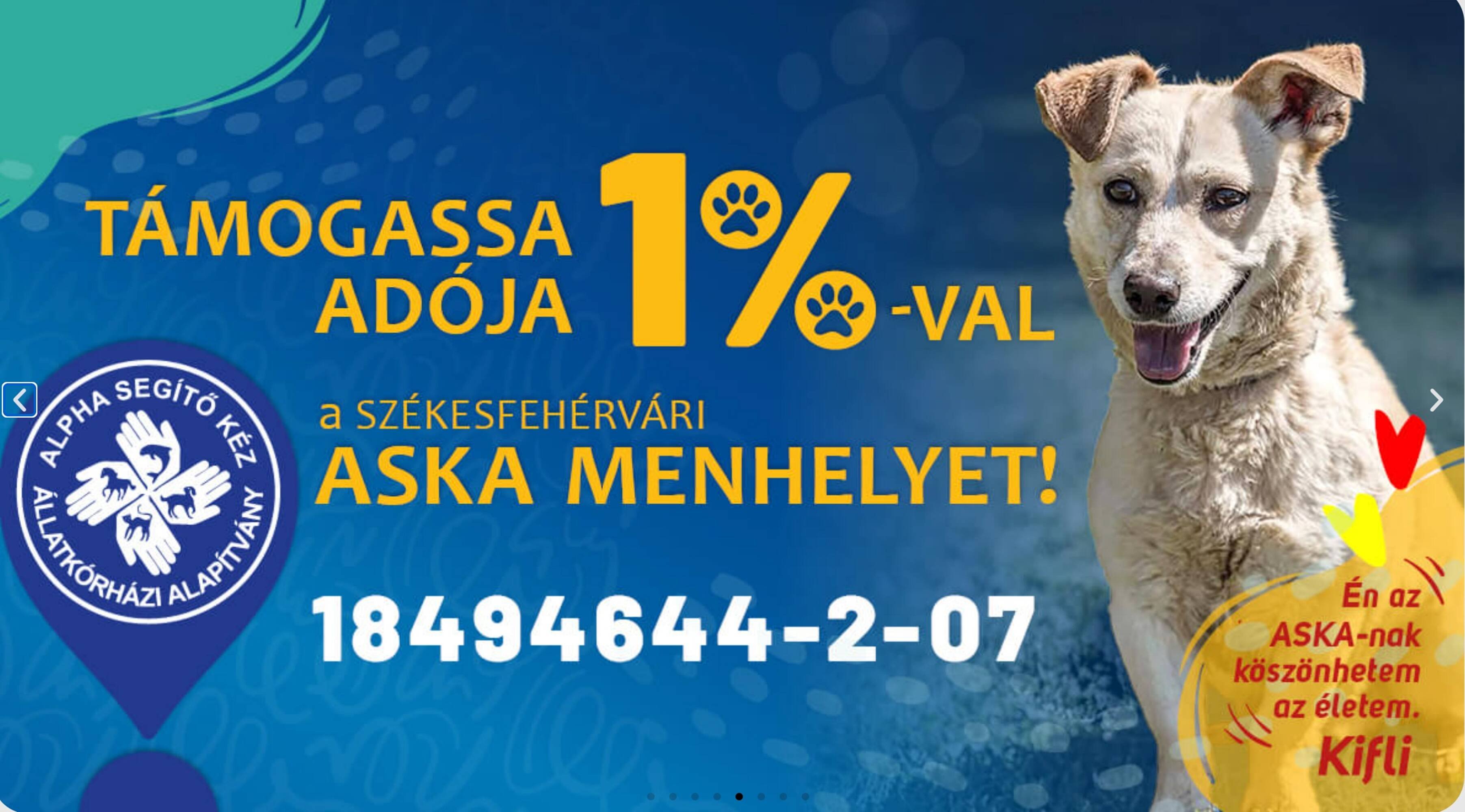 Alpha Zoo akciós újság (2026-05-07 - 2026-05-13)