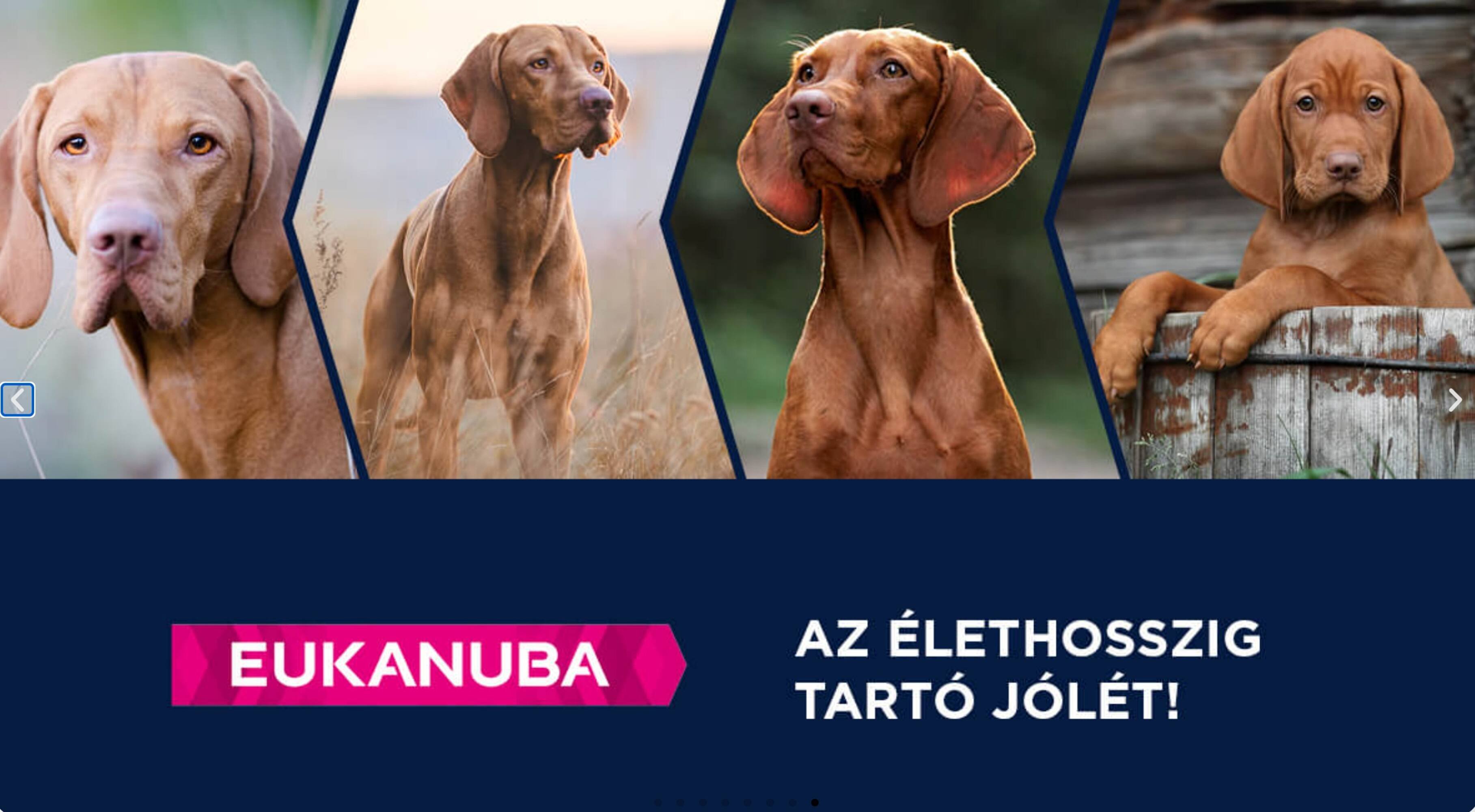 Alpha Zoo akciós újság (2026-05-07 - 2026-05-13)