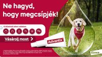 Alpha Zoo akciós újság (2026-05-07 - 2026-05-13)