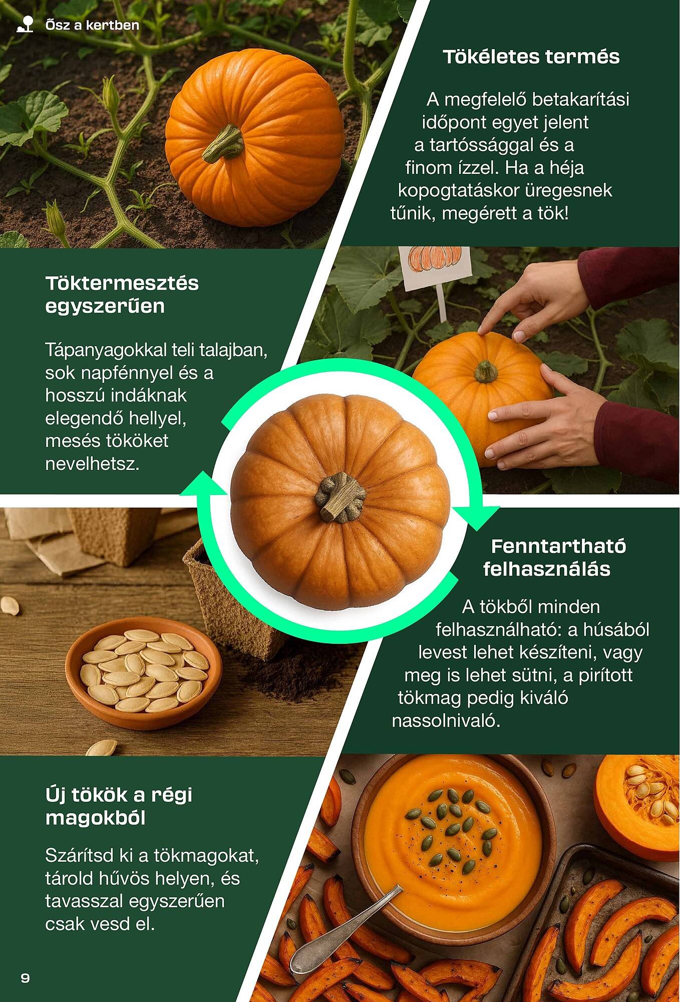 Pick-Lidl Nyereményjáték 2025.09.24 akciós újság (None - 2025-08-30)