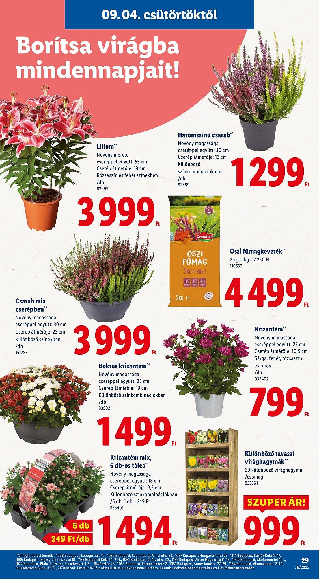 Pick-Lidl Nyereményjáték 2025.09.24 akciós újság (None - 2025-09-04)