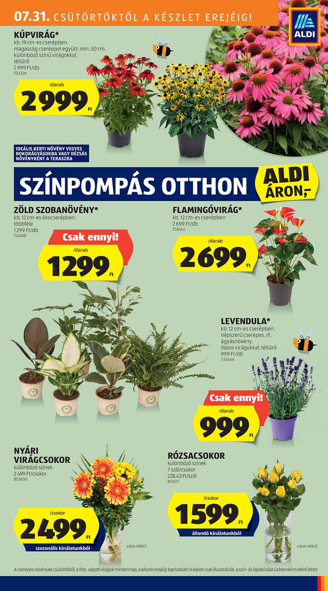 ALDI akciós újság (2025-07-31 - 2025-08-06)