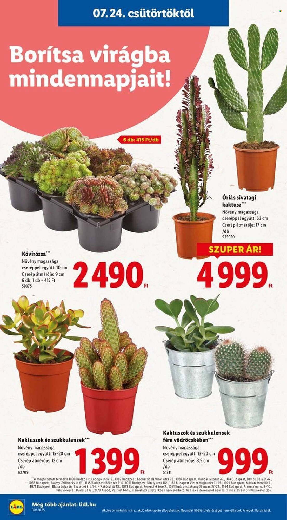 Lidl akciós újság (2025-07-24 - 2025-07-30)