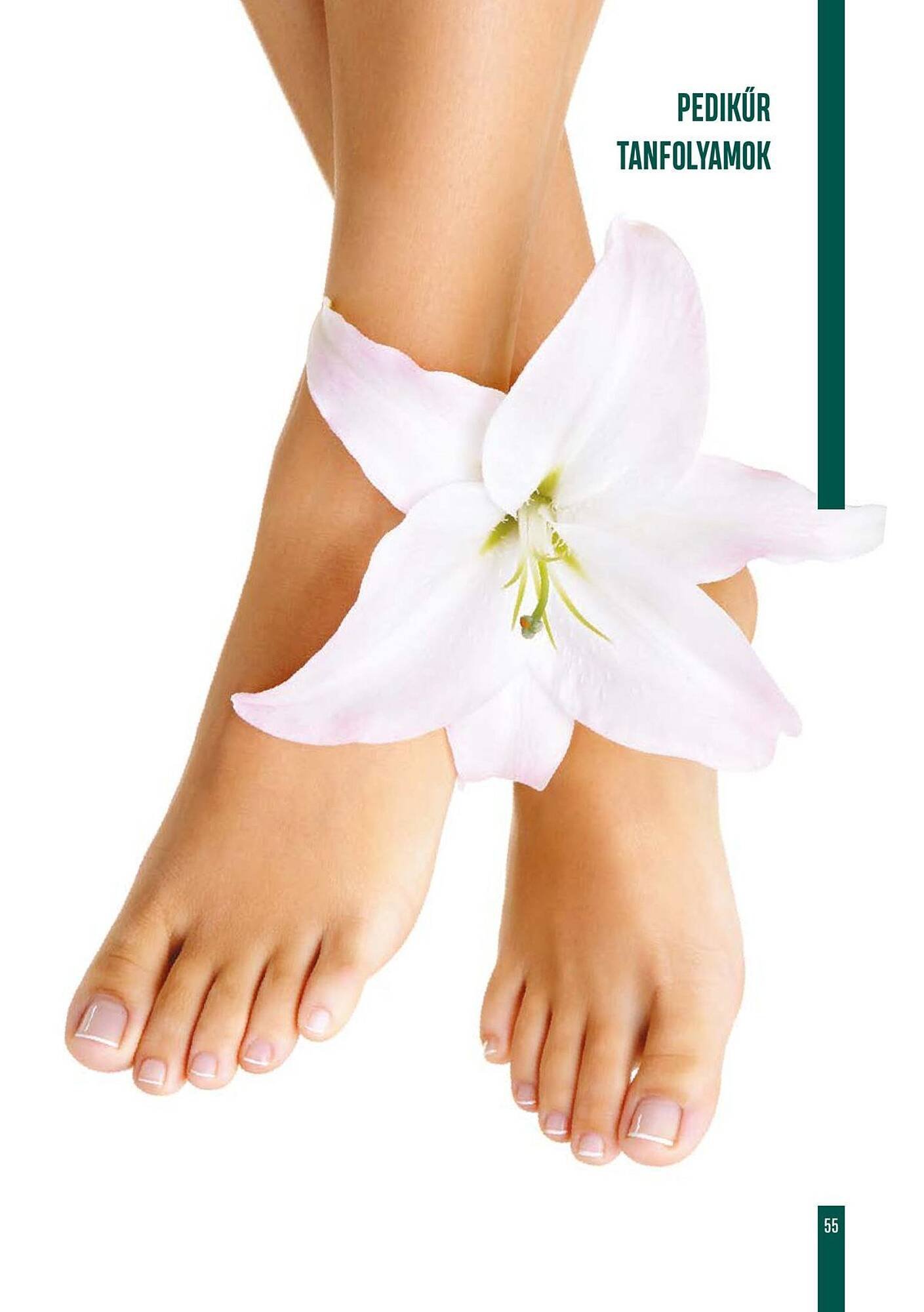 Crystal Nails akciós újság (2025-12-01 - 2025-12-31)