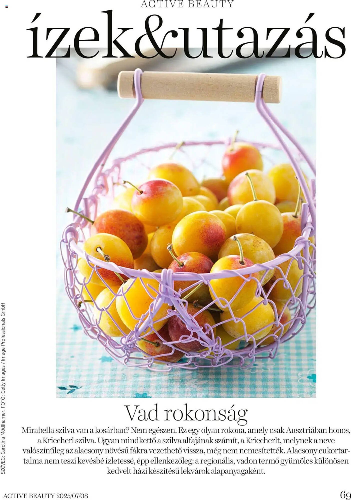 DM akciós újság (2025-07-16 - 2025-08-31)