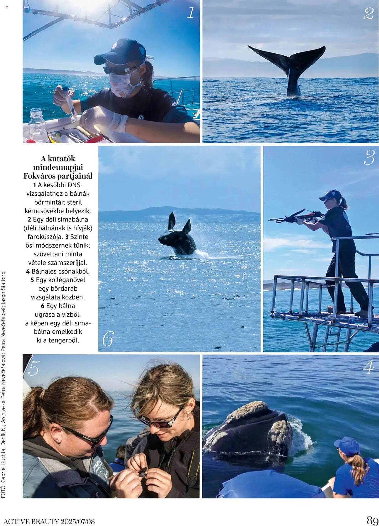 DM akciós újság (2025-07-16 - 2025-08-31)