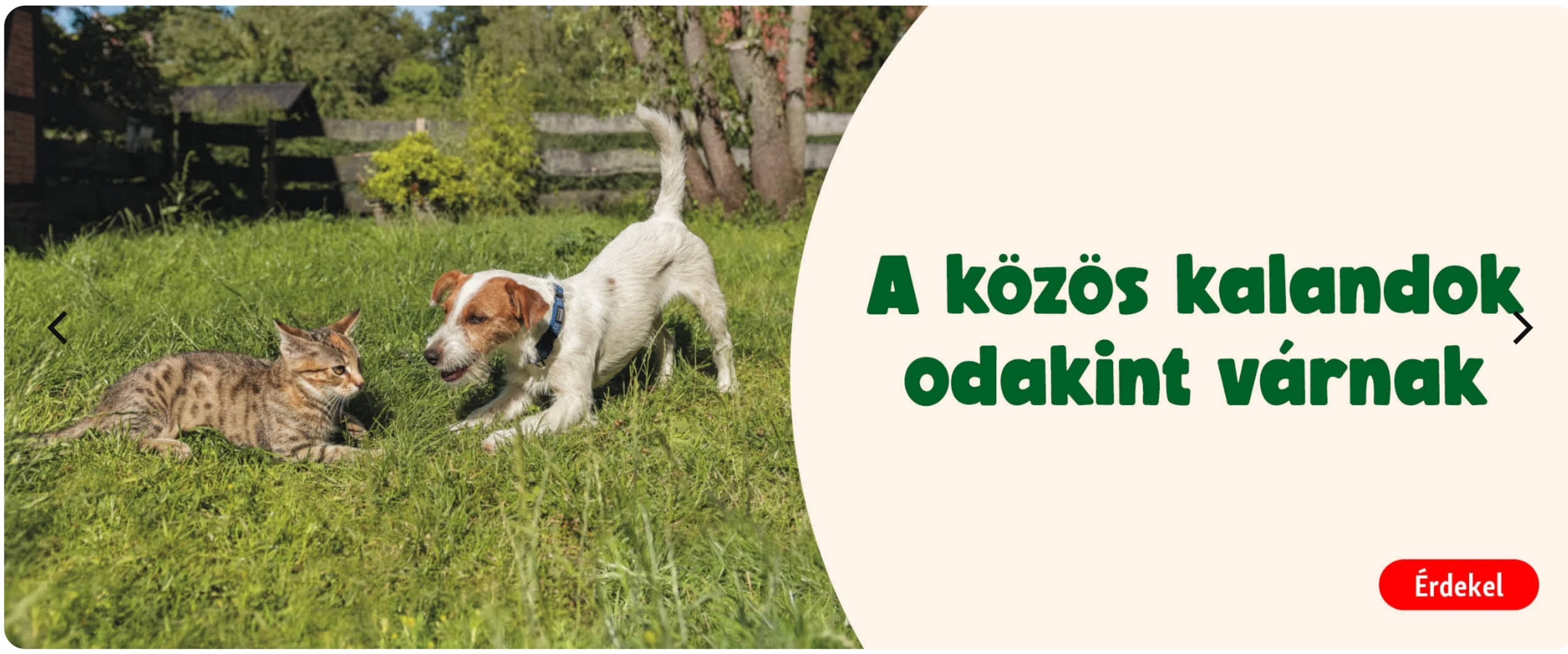 Fressnapf akciós újság (2026-03-17 - 2026-04-04)