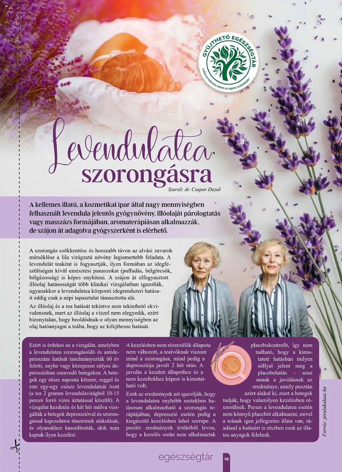 Pingvin Patika akciós újság (2025-08-01 - 2025-08-31)