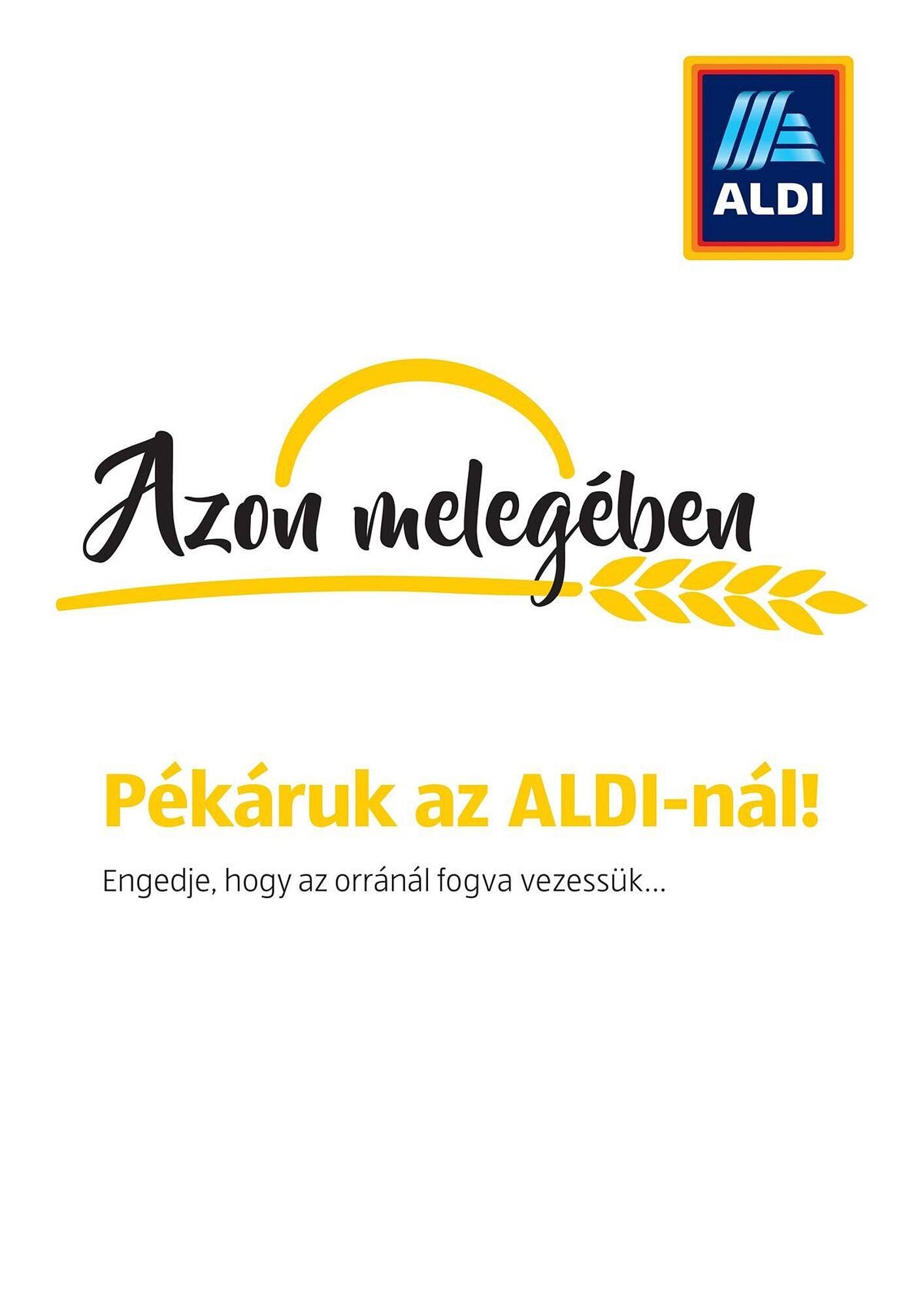 ALDI akciós újság (2025-07-16 - 2026-01-20)