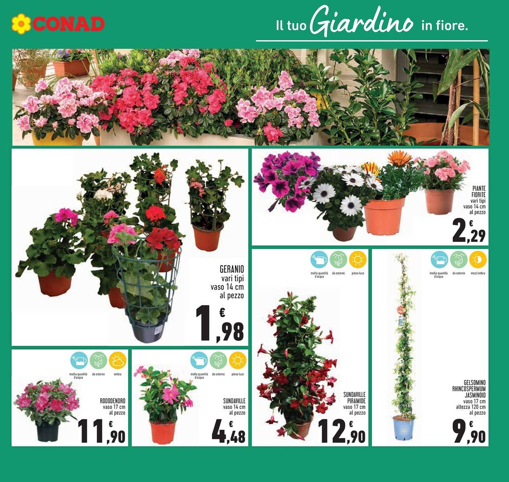 Volantino Conad (2026-04-12 - 2026-04-22)