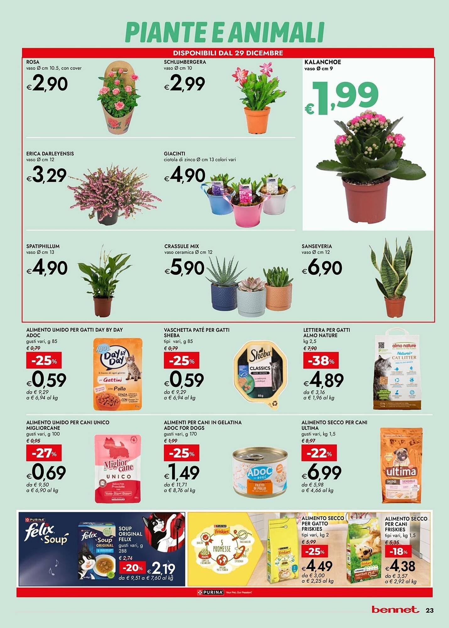 Volantino Bennet (2025-12-27 - 2026-01-07)