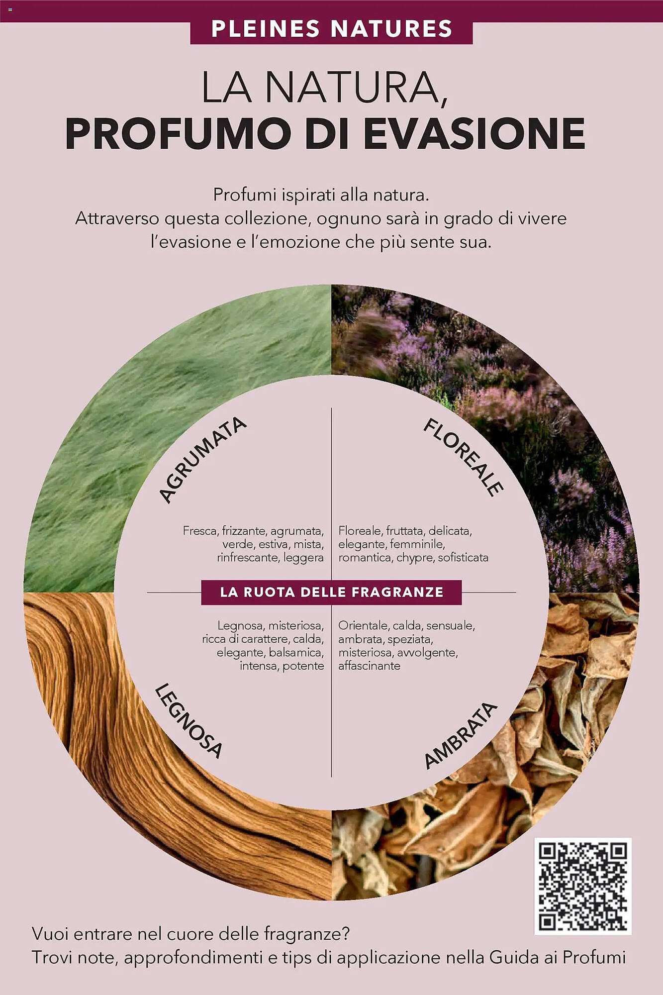 Catalogo Yves Rocher (2026-01-30 - 2026-02-16)