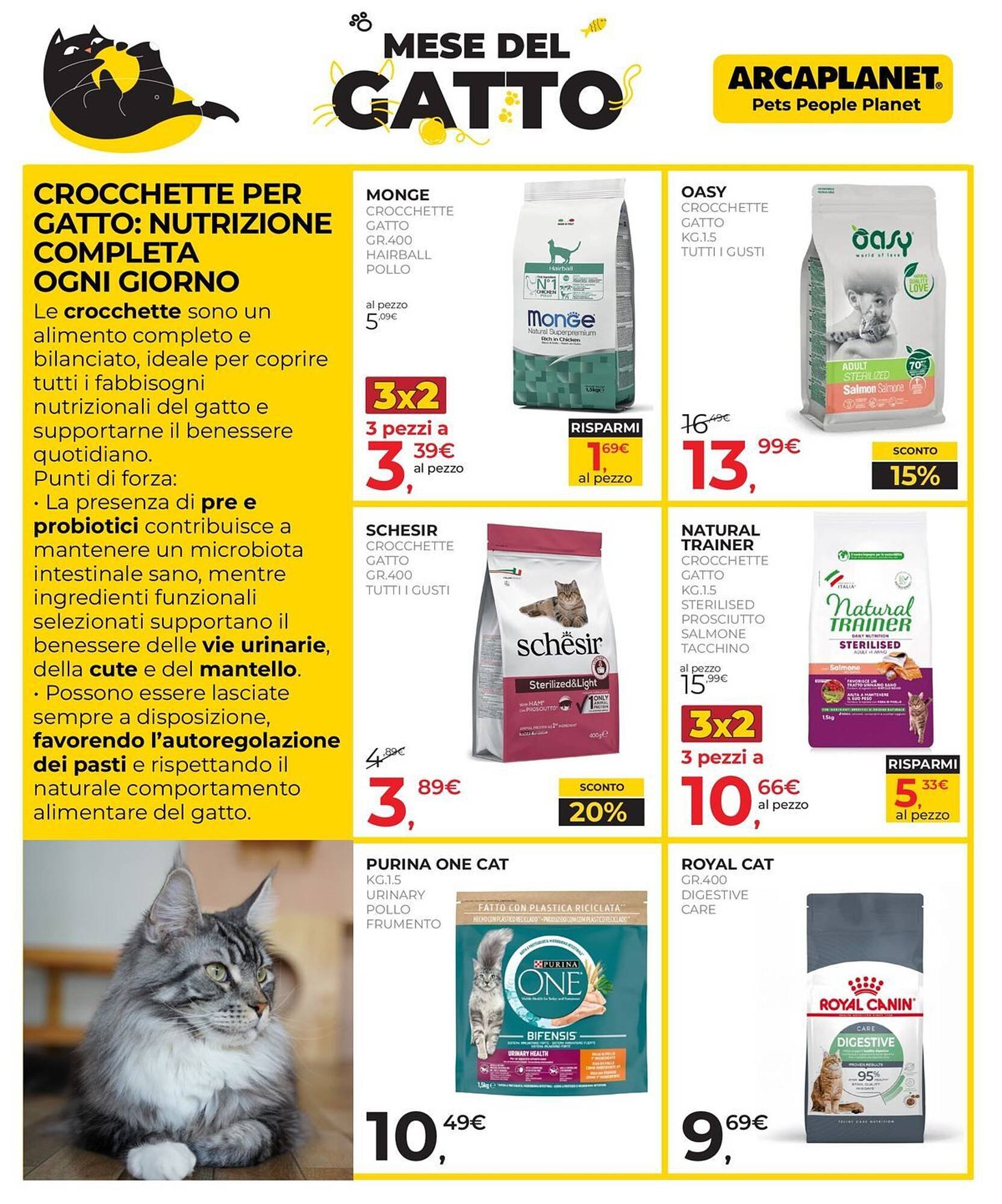 Volantino Arcaplanet (2026-02-02 - 2026-02-15)