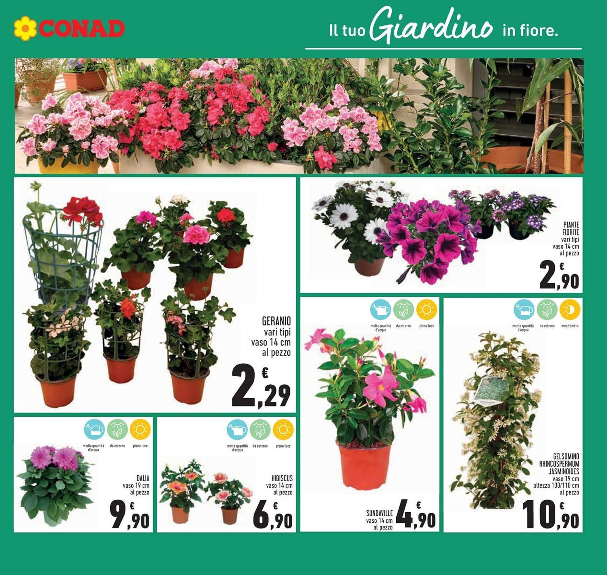 Volantino Conad (2026-04-12 - 2026-04-22)