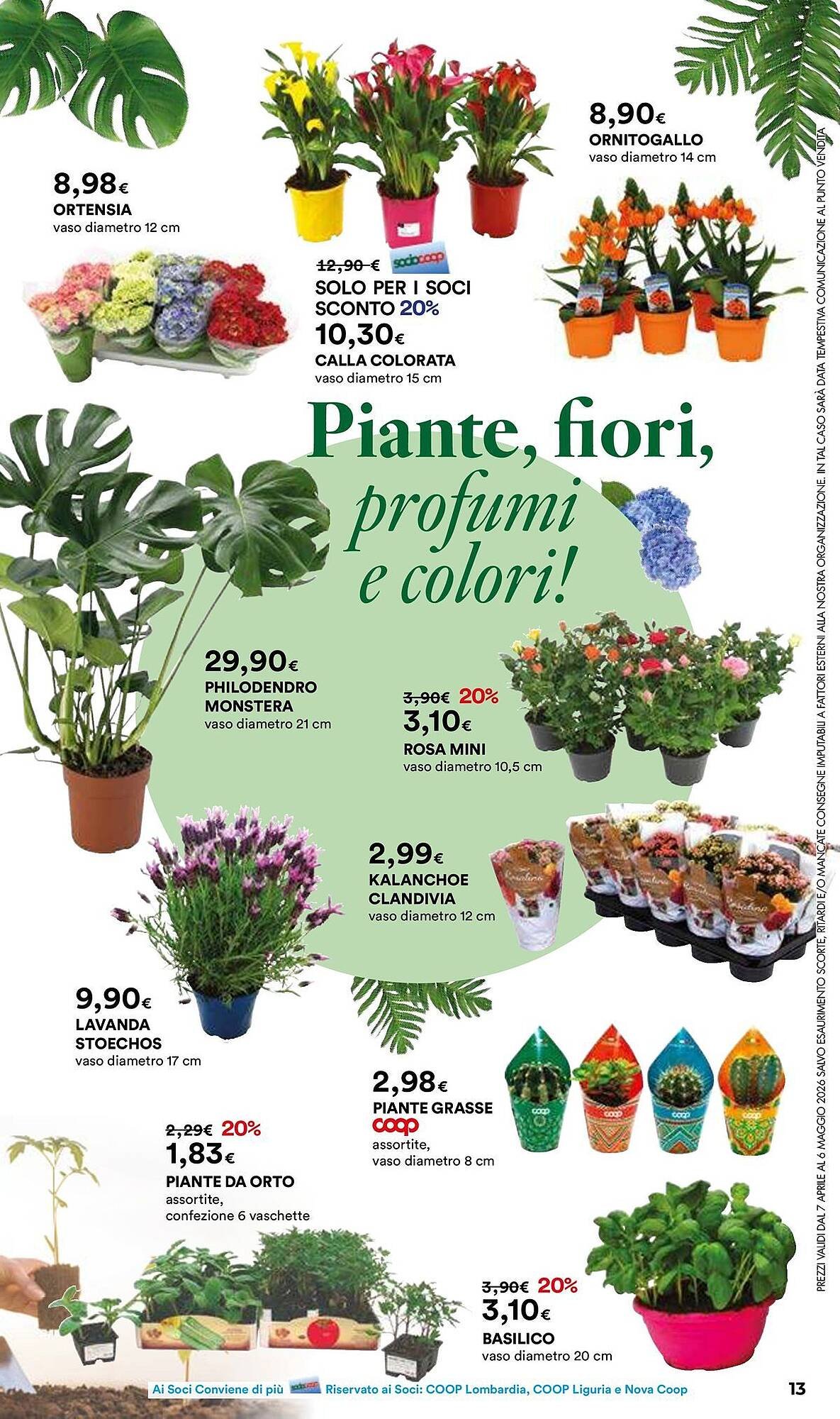 Volantino Ipercoop (2026-04-07 - 2026-05-06)