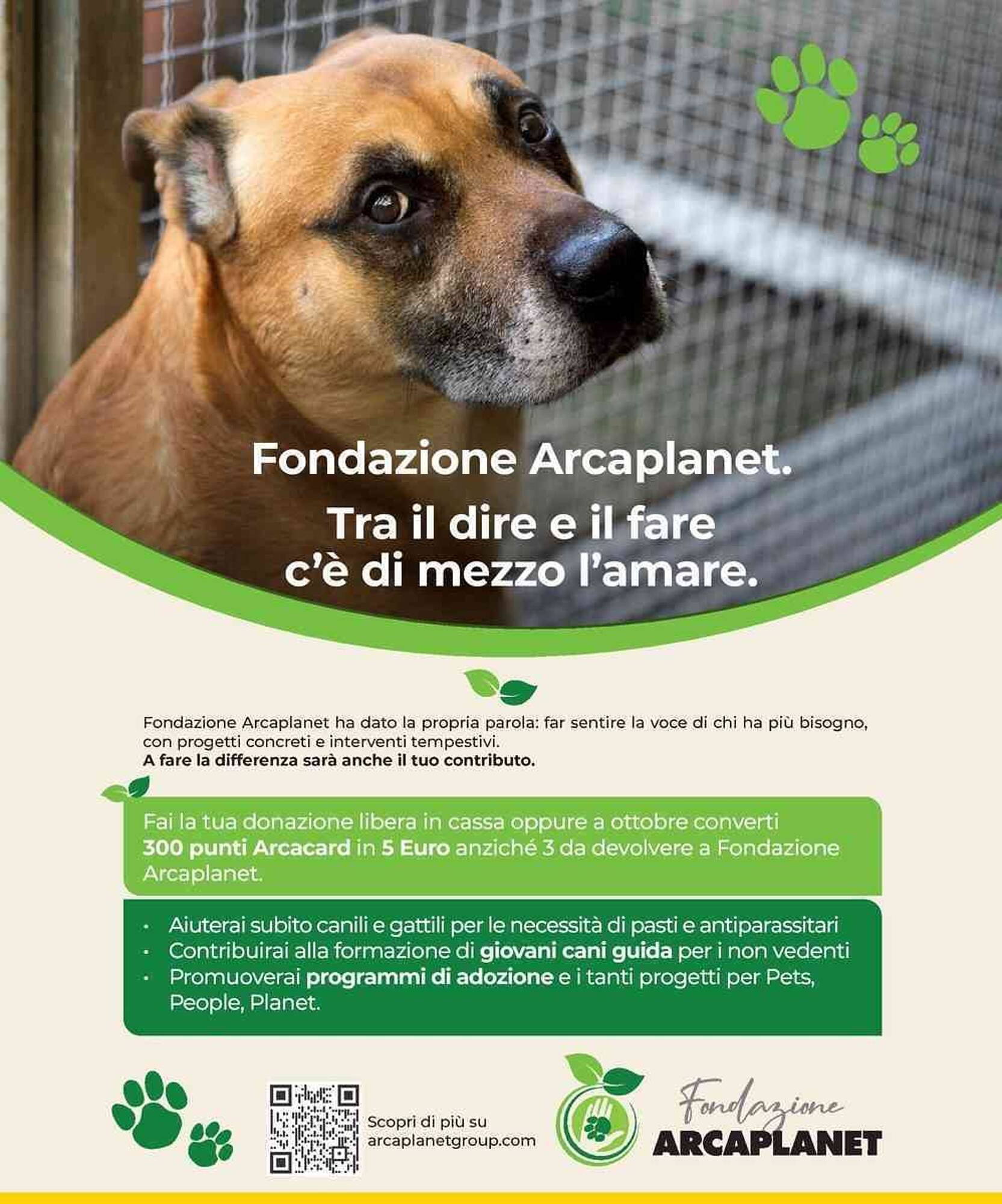 Volantino Arcaplanet (2025-11-03 - 2025-11-09)