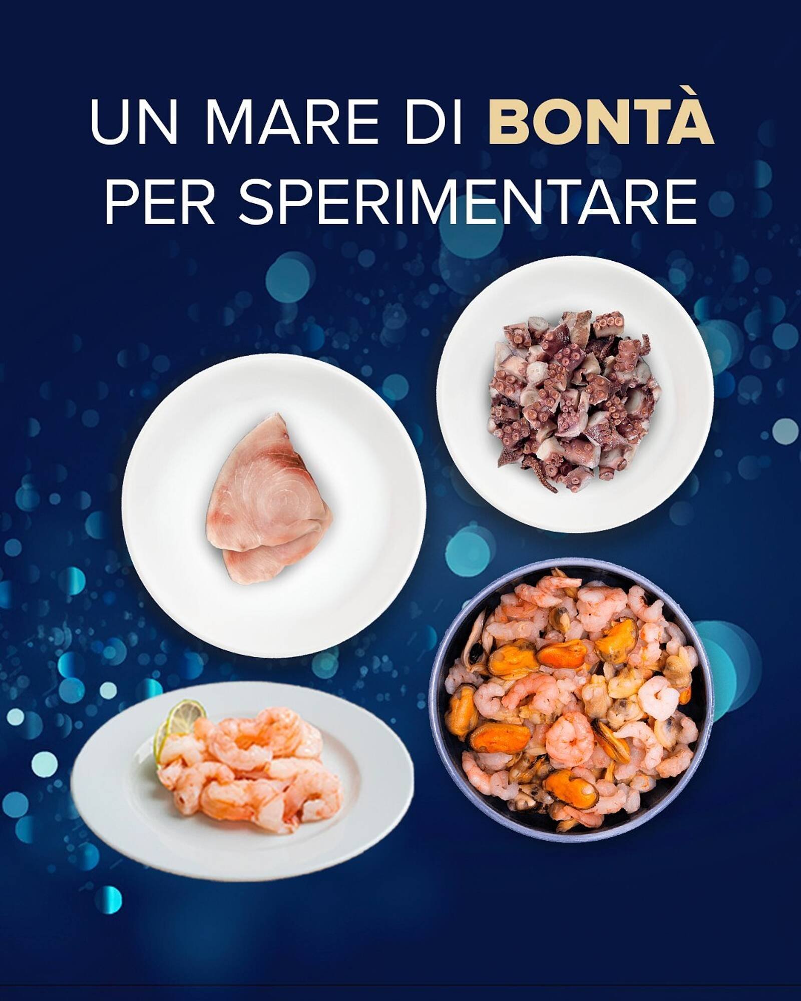Volantino Sapore di Mare (2025-12-16 - 2025-12-28)