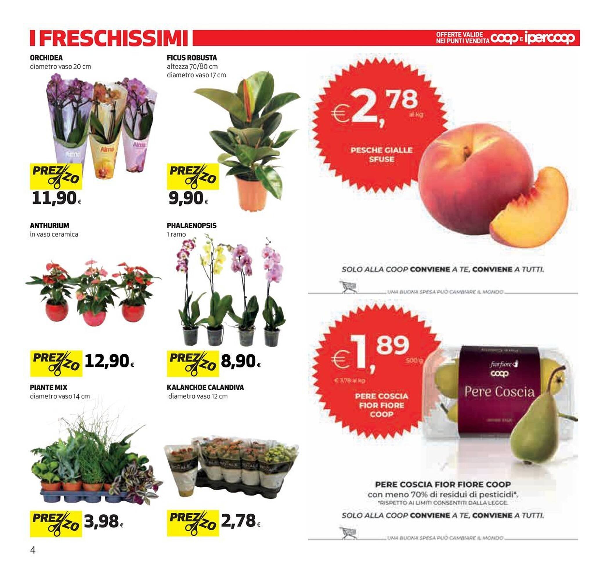 Volantino Coop (2025-08-28 - 2025-09-10)