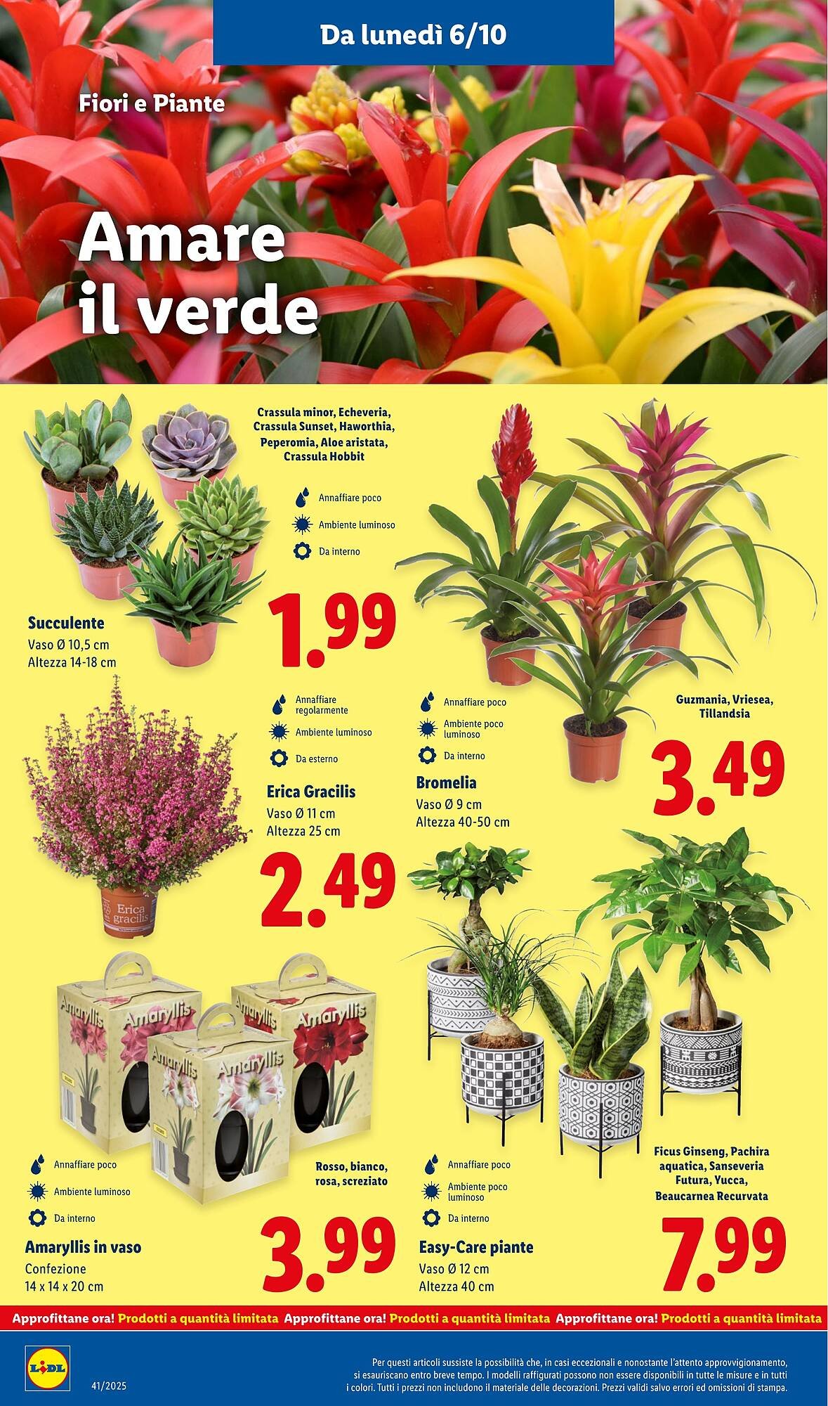 Volantino Lidl (2025-10-06 - 2025-10-12)