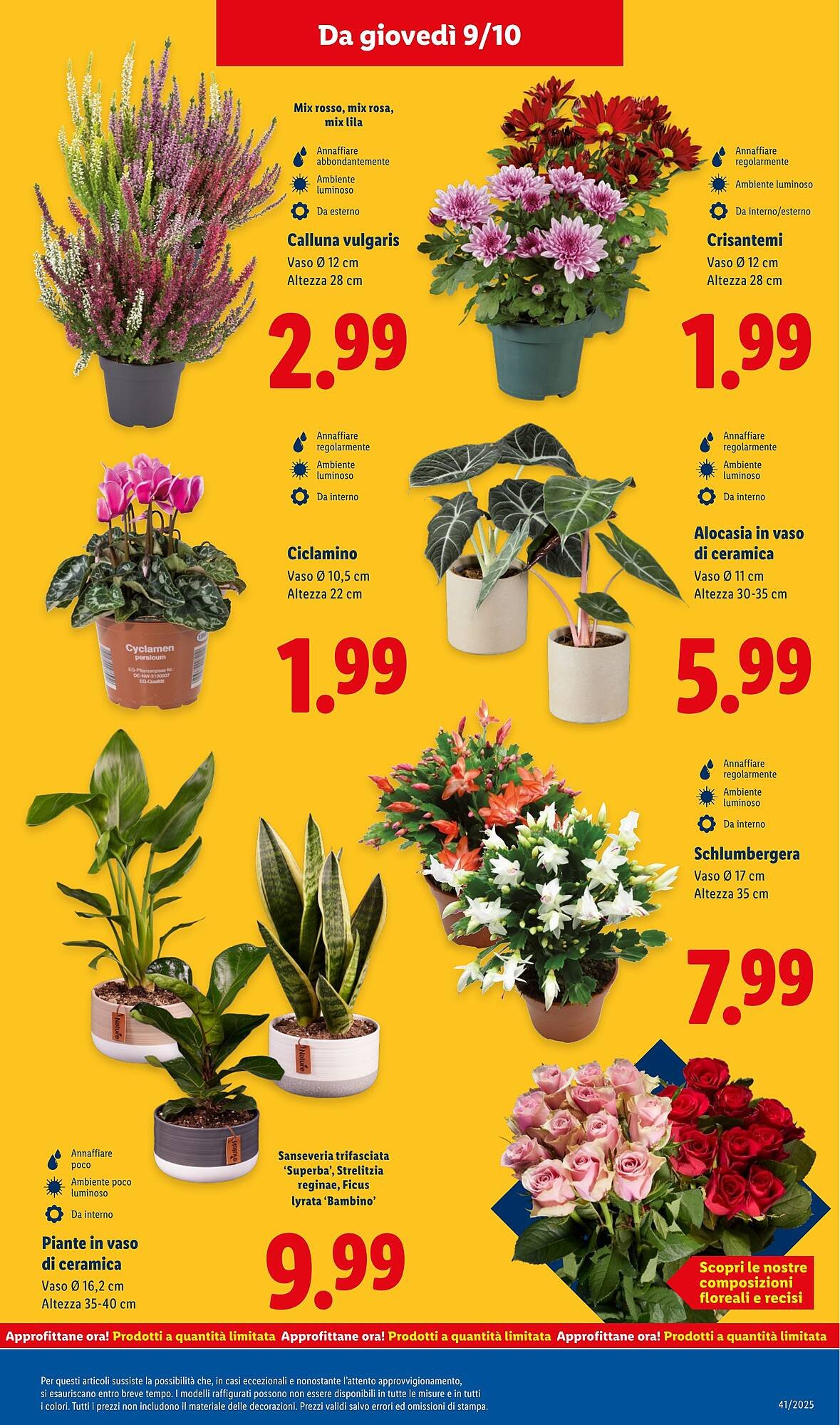 Volantino Lidl (2025-10-06 - 2025-10-12)