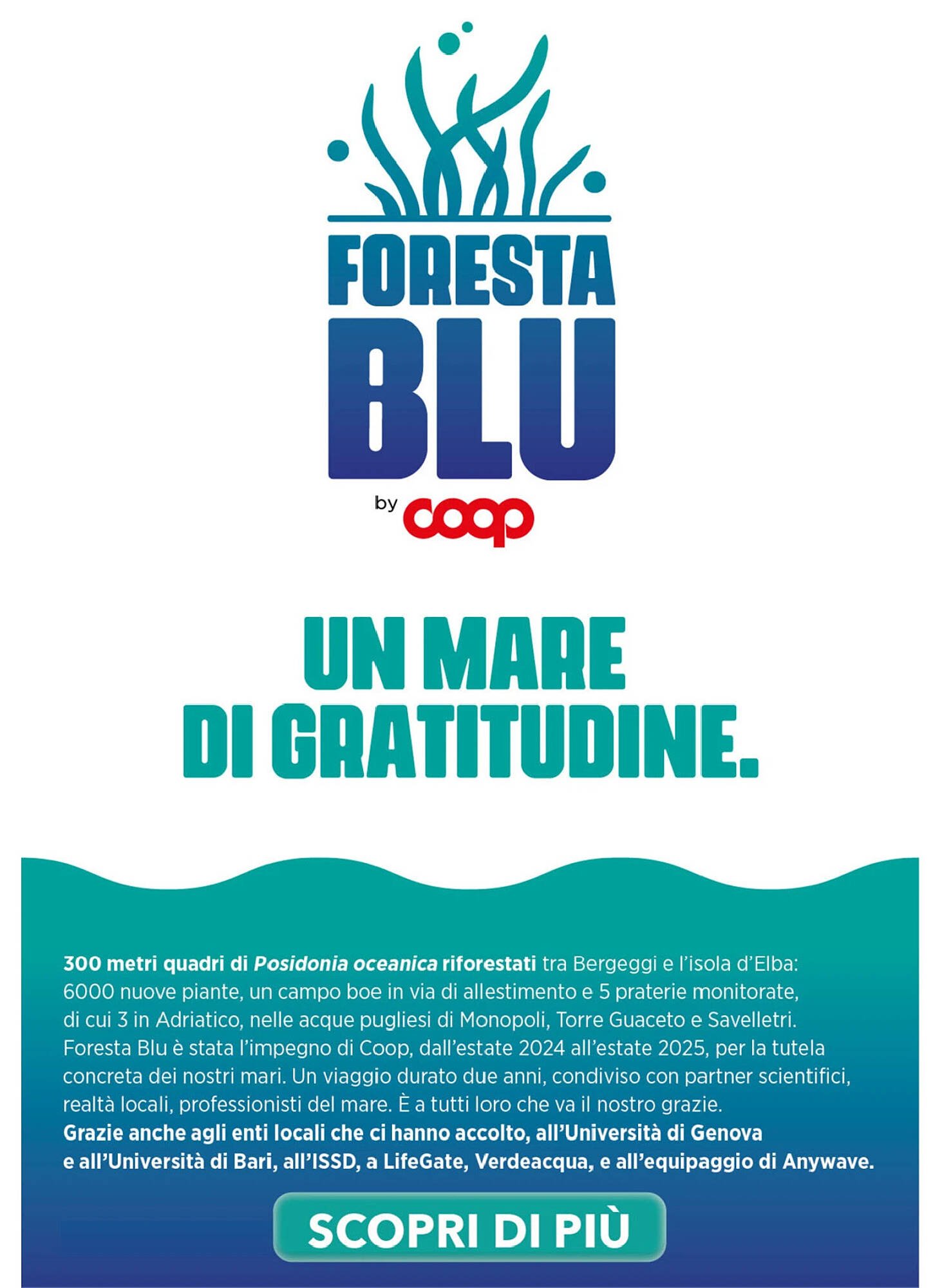 Volantino Ipercoop (2025-11-06 - 2025-12-24)