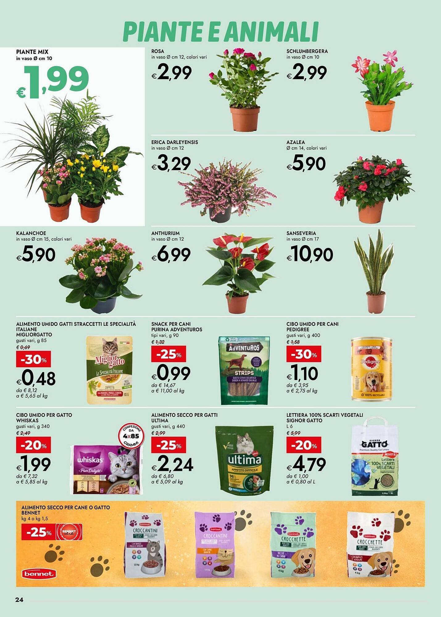 Volantino Bennet (2025-10-23 - 2025-11-05)