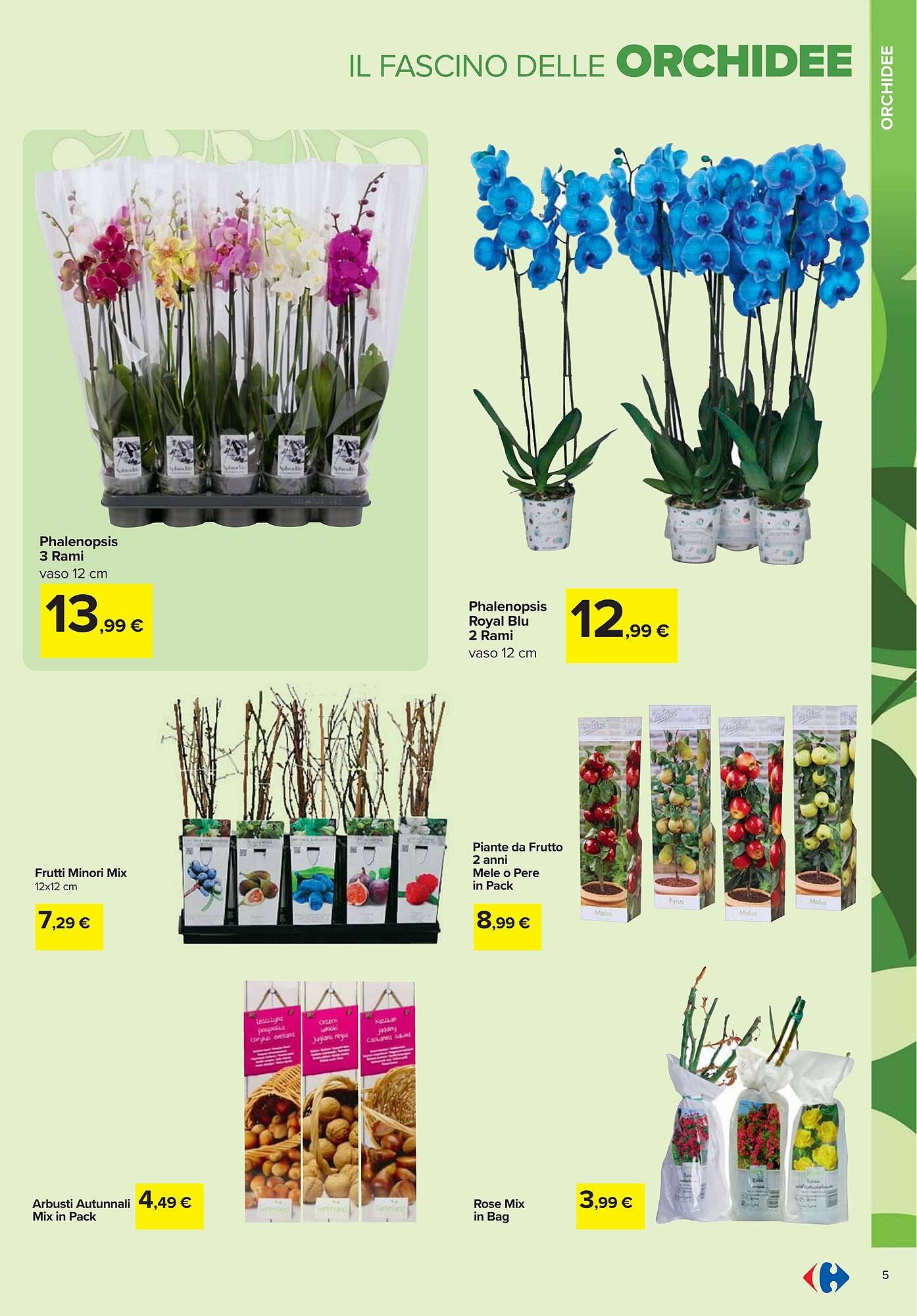 Volantino Carrefour (2026-02-19 - 2026-04-06)