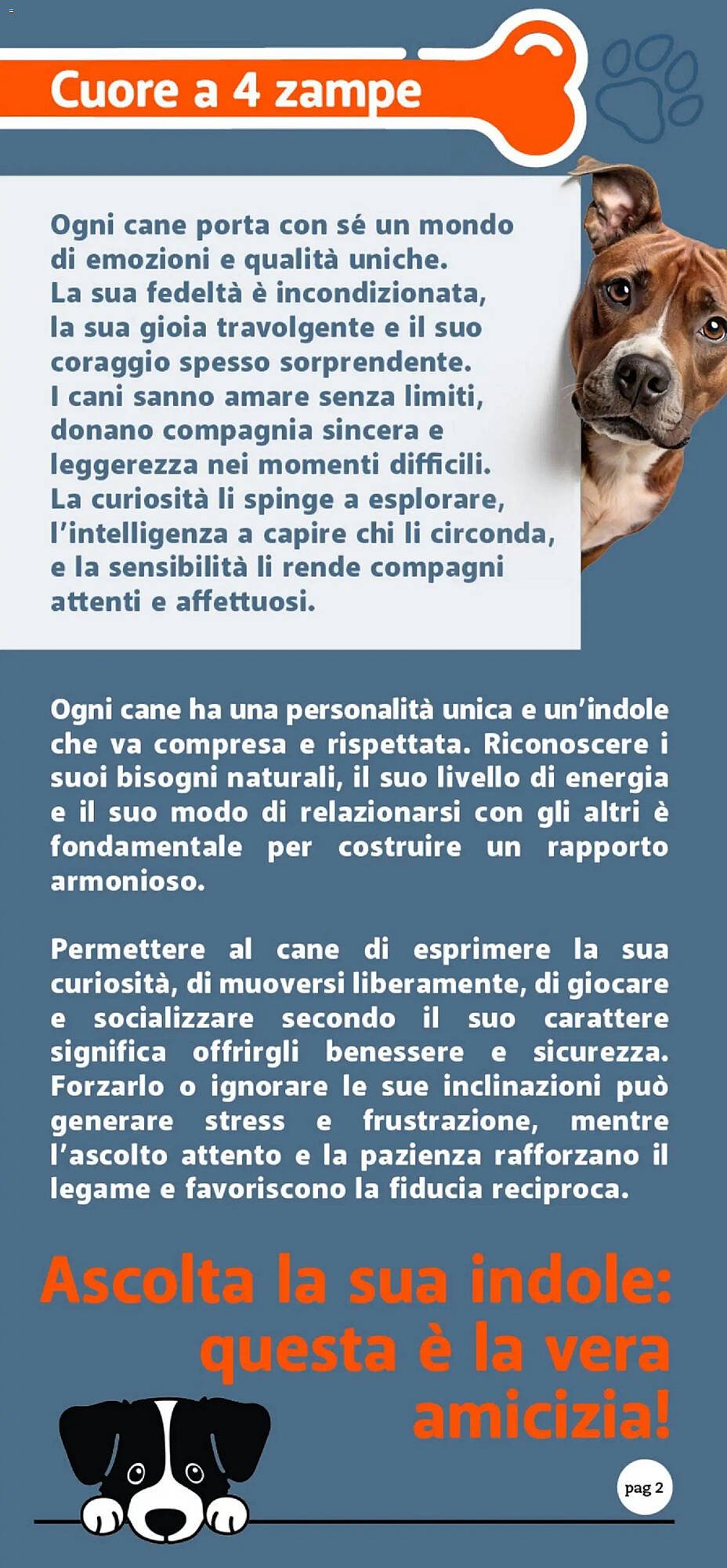 Volantino Supermercati Dok (2025-10-24 - 2025-11-09)