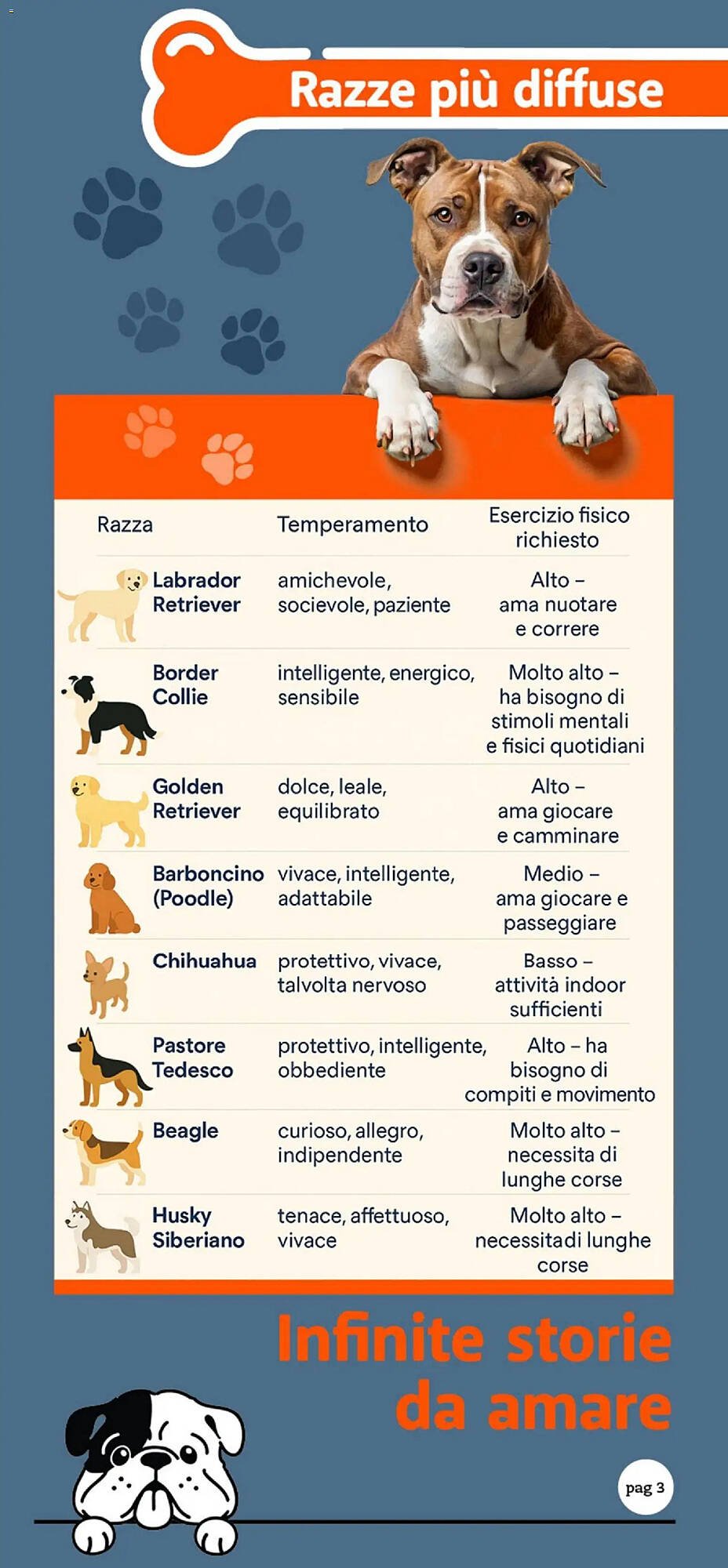 Volantino Supermercati Dok (2025-10-24 - 2025-11-09)