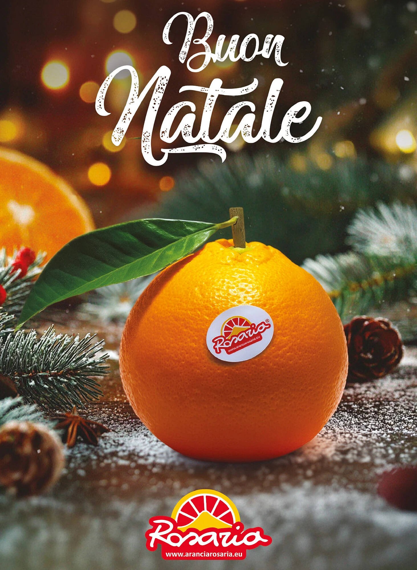 Volantino Coop (2025-12-01 - 2025-12-24)