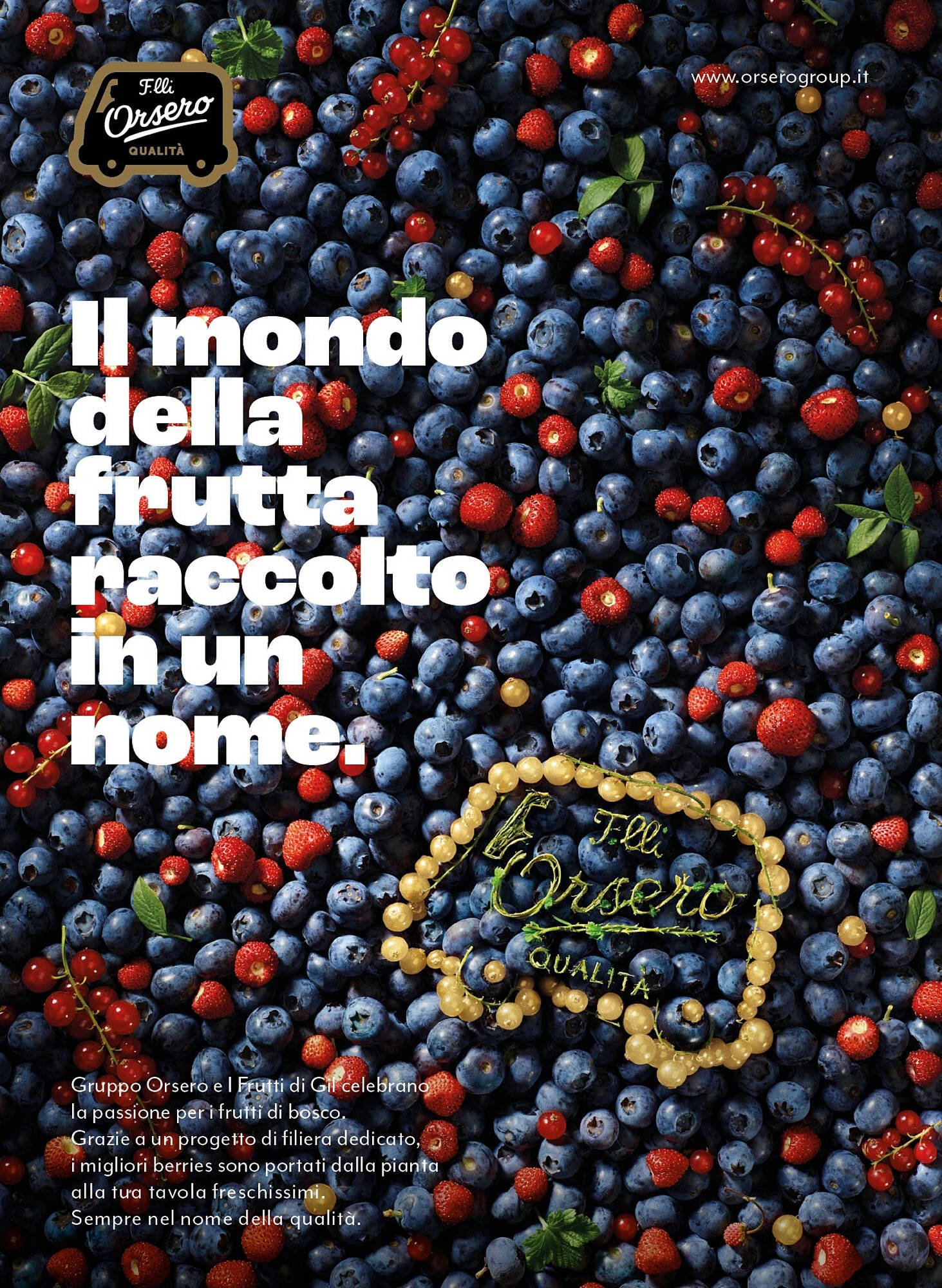 Volantino Coop (2025-12-01 - 2025-12-24)