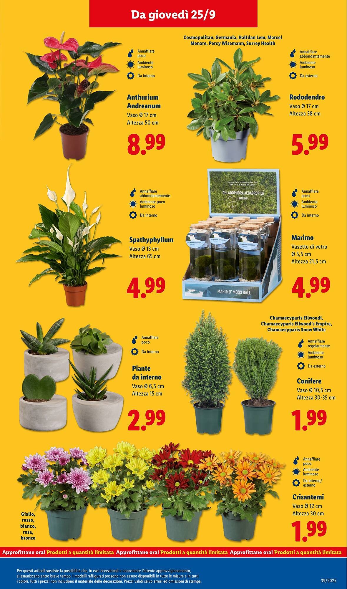 Volantino Lidl (2025-09-22 - 2025-09-28)
