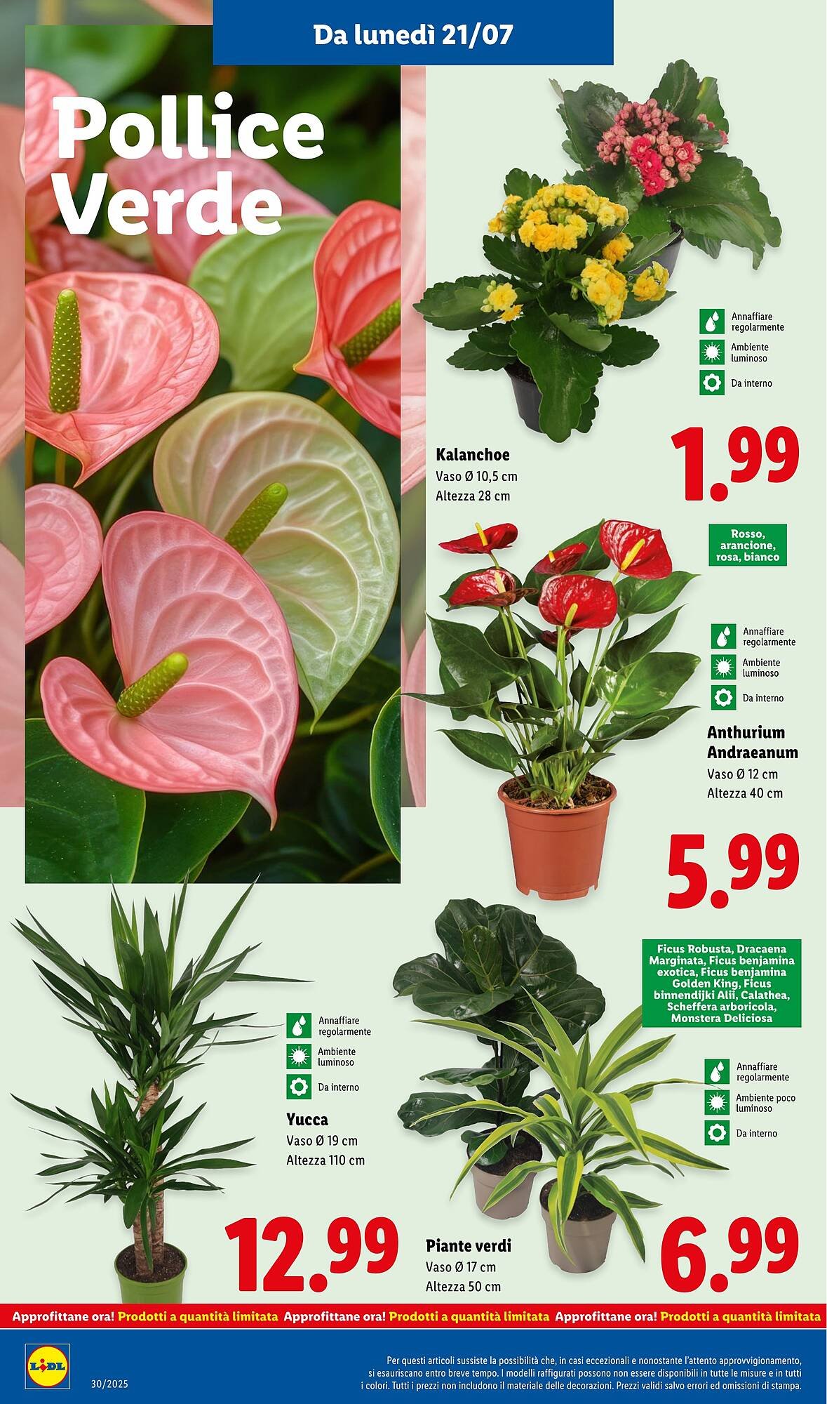 Volantino Lidl (2025-07-21 - 2025-07-27)