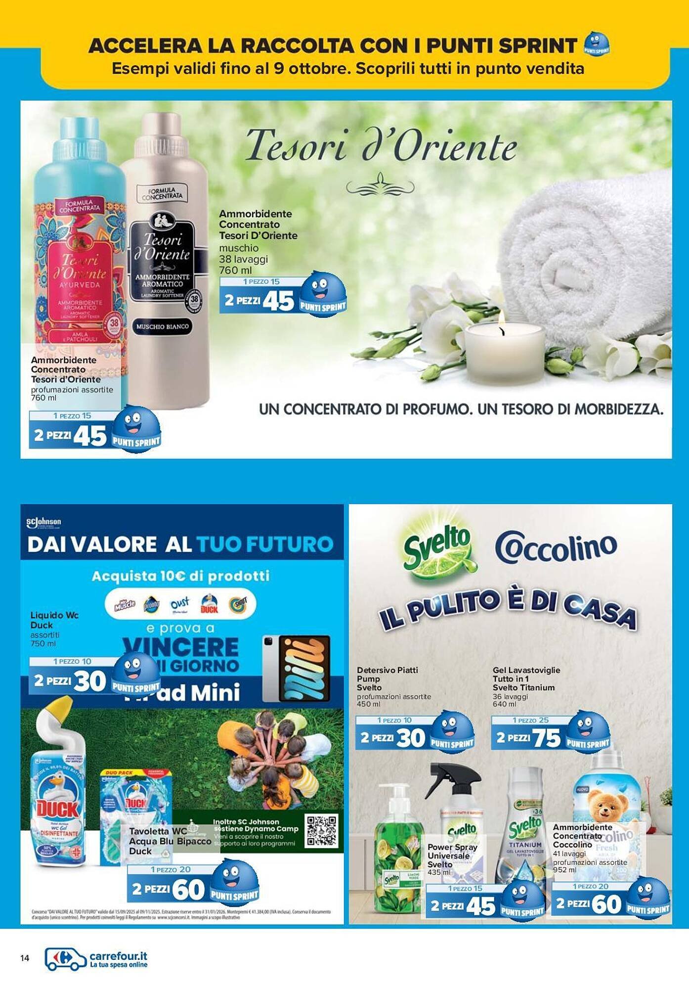 Volantino Carrefour (2025-09-15 - 2025-09-25)