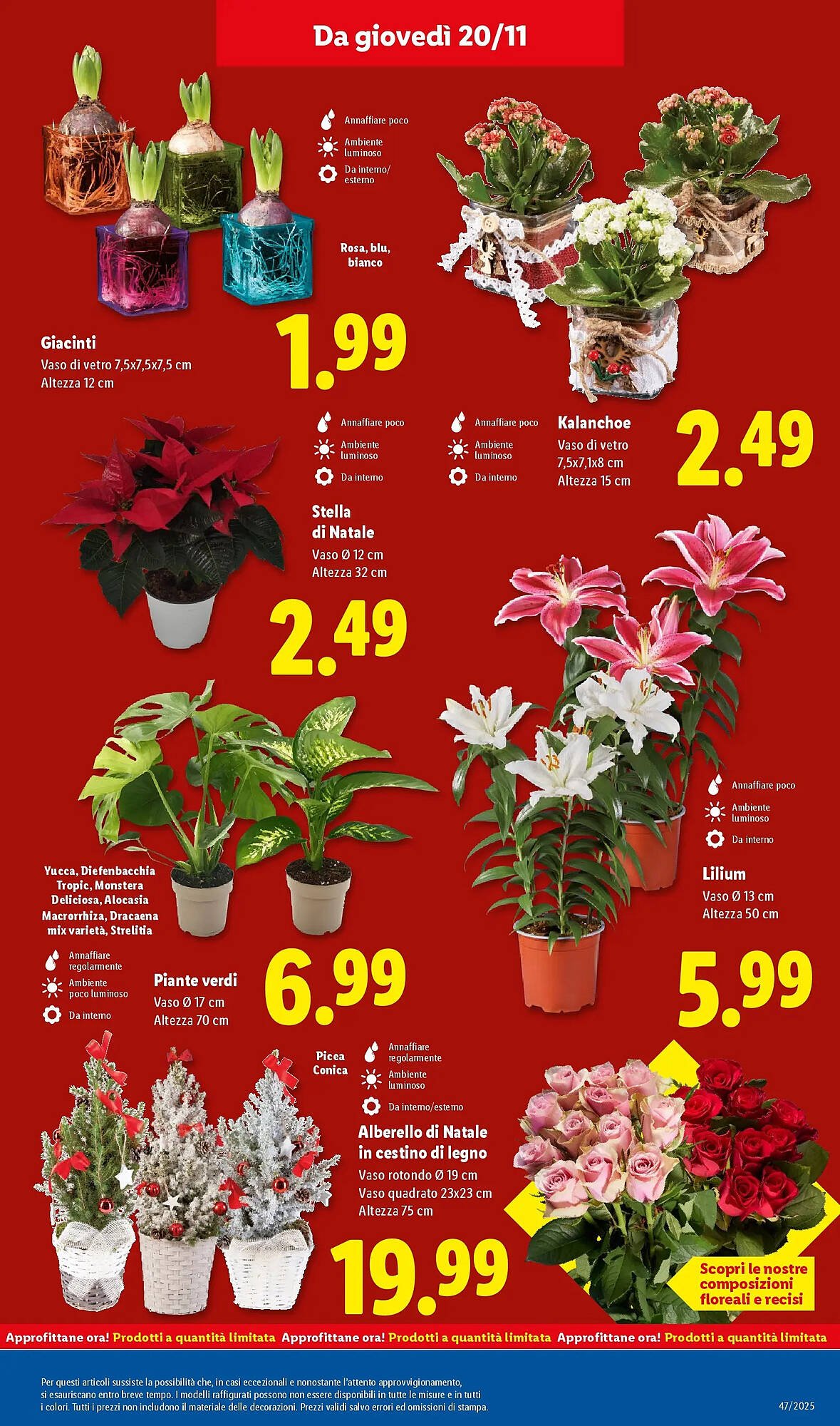 Volantino Lidl (2025-11-16 - 2025-11-20)