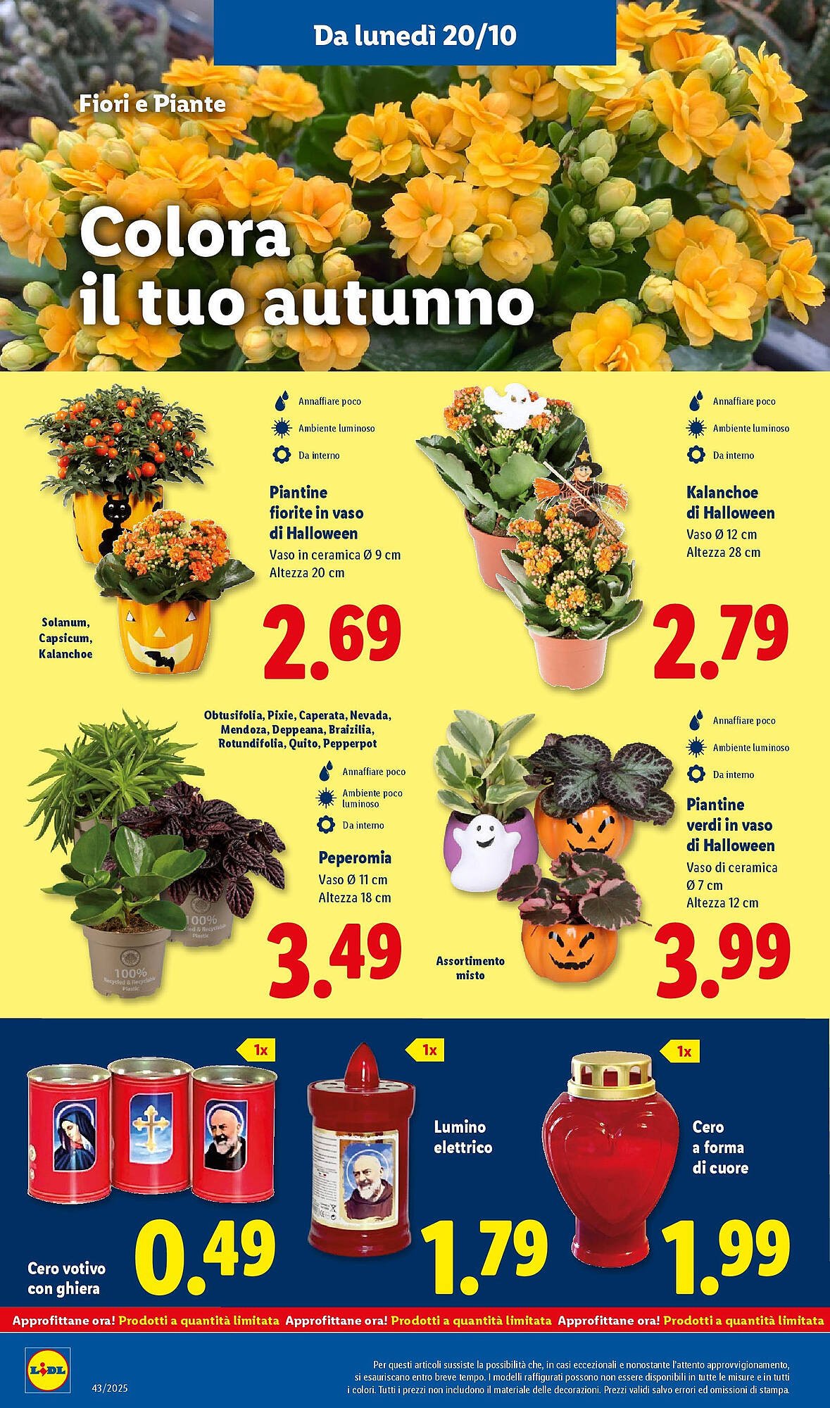 Volantino Lidl (2025-10-16 - 2025-10-23)