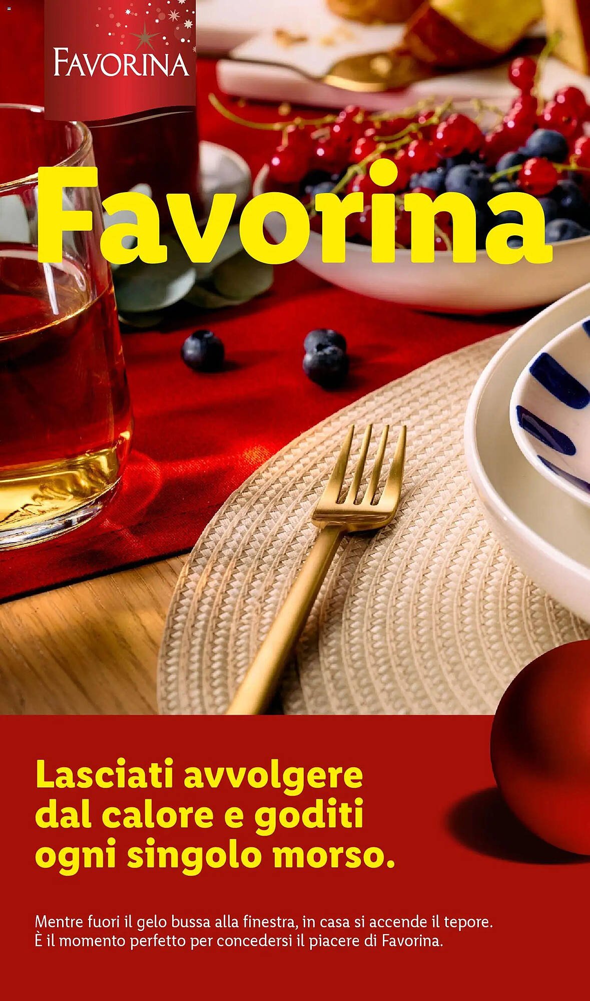 Volantino Lidl (2025-10-24 - 2025-12-31)