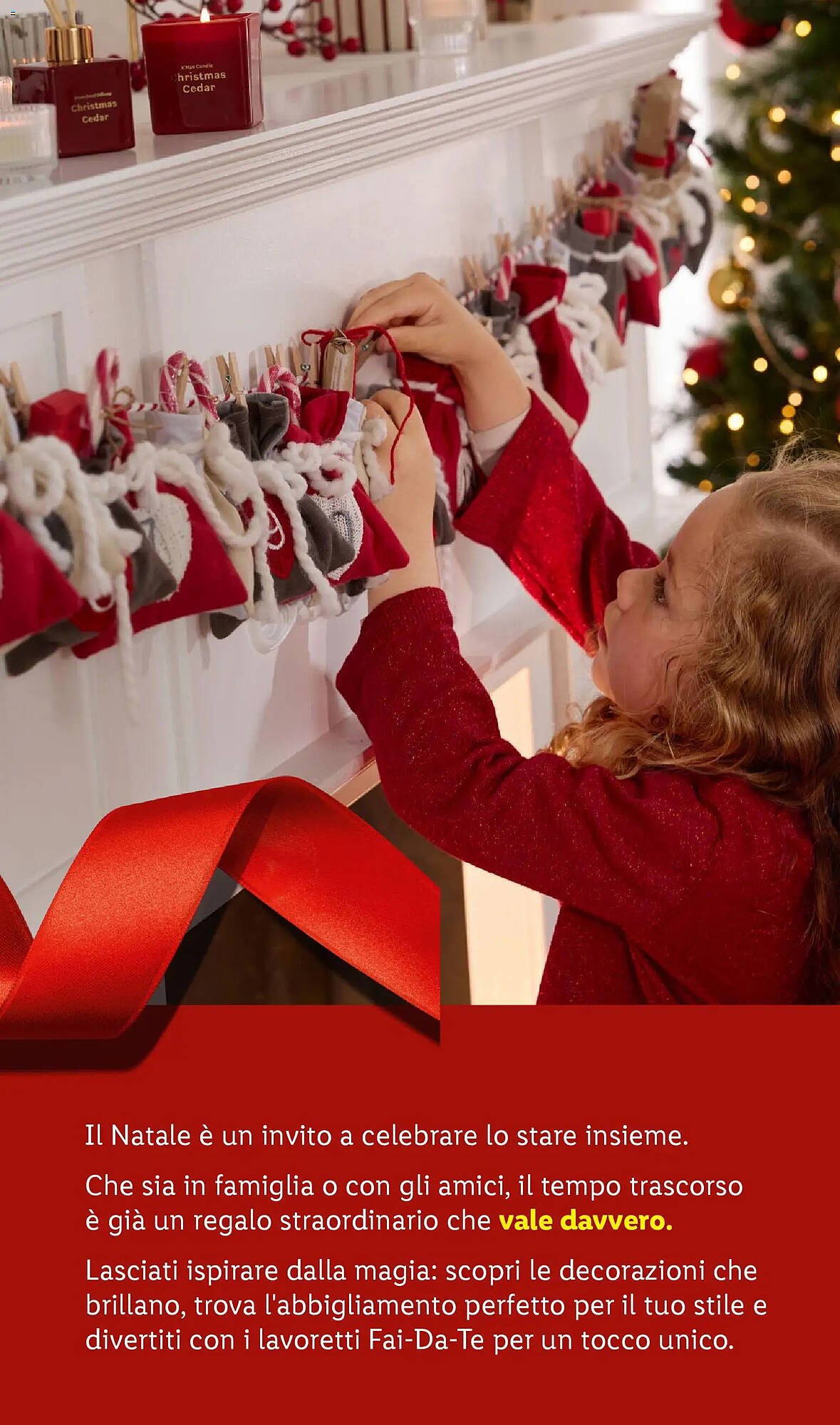 Volantino Lidl (2025-10-24 - 2025-12-31)