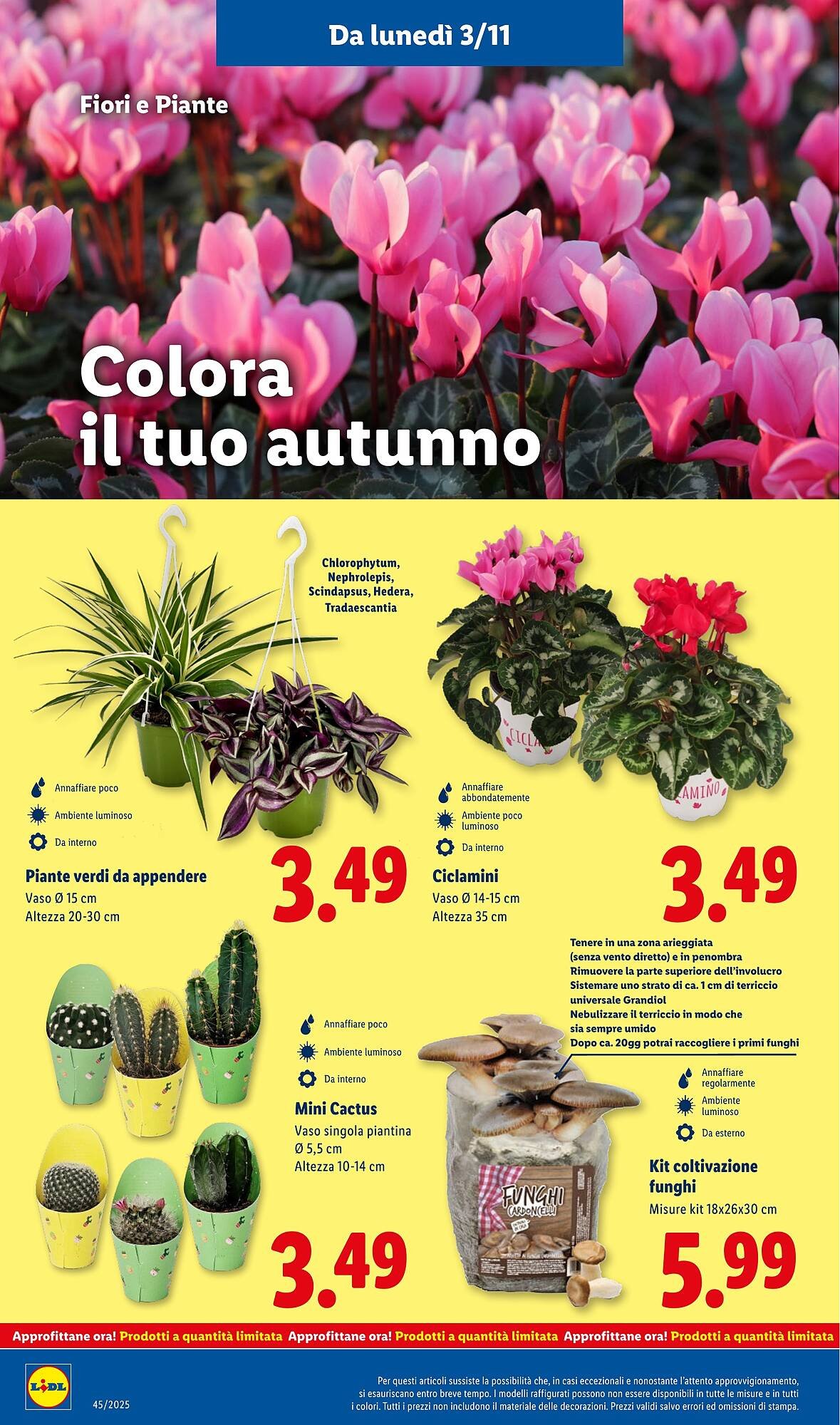 Volantino Lidl (2025-11-03 - 2025-11-09)