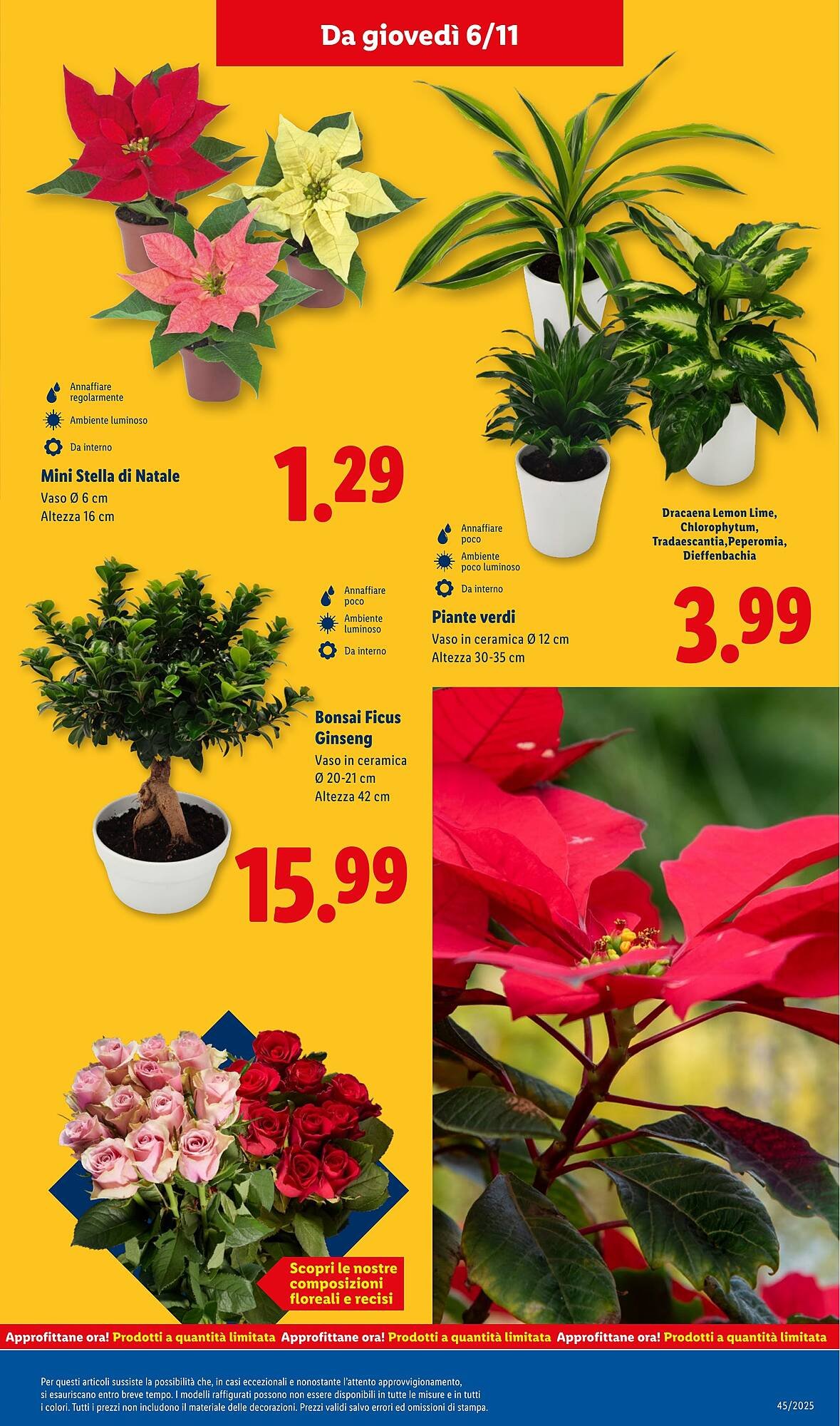 Volantino Lidl (2025-11-03 - 2025-11-09)