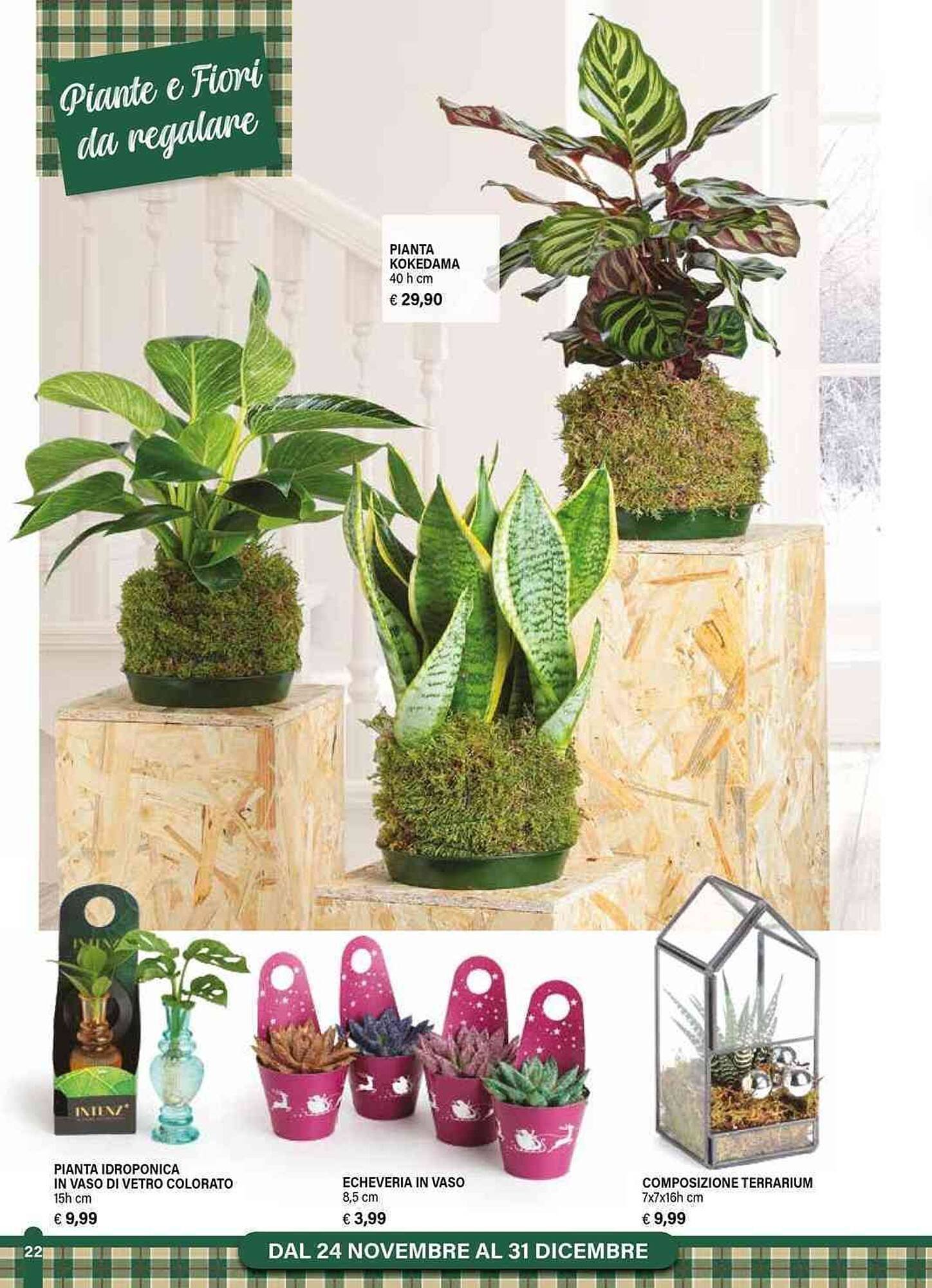 Volantino Il Gigante (2025-11-24 - 2025-12-31)