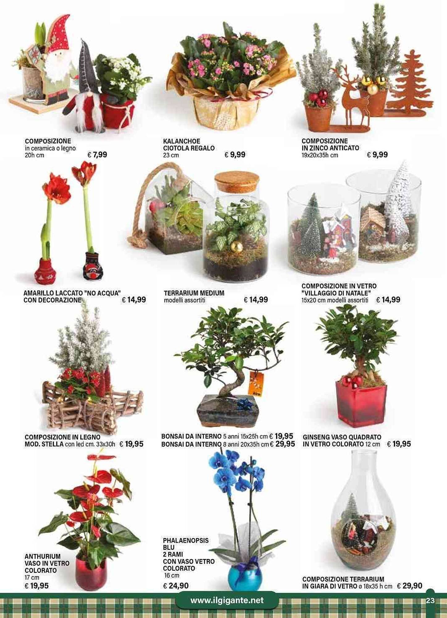 Volantino Il Gigante (2025-11-24 - 2025-12-31)