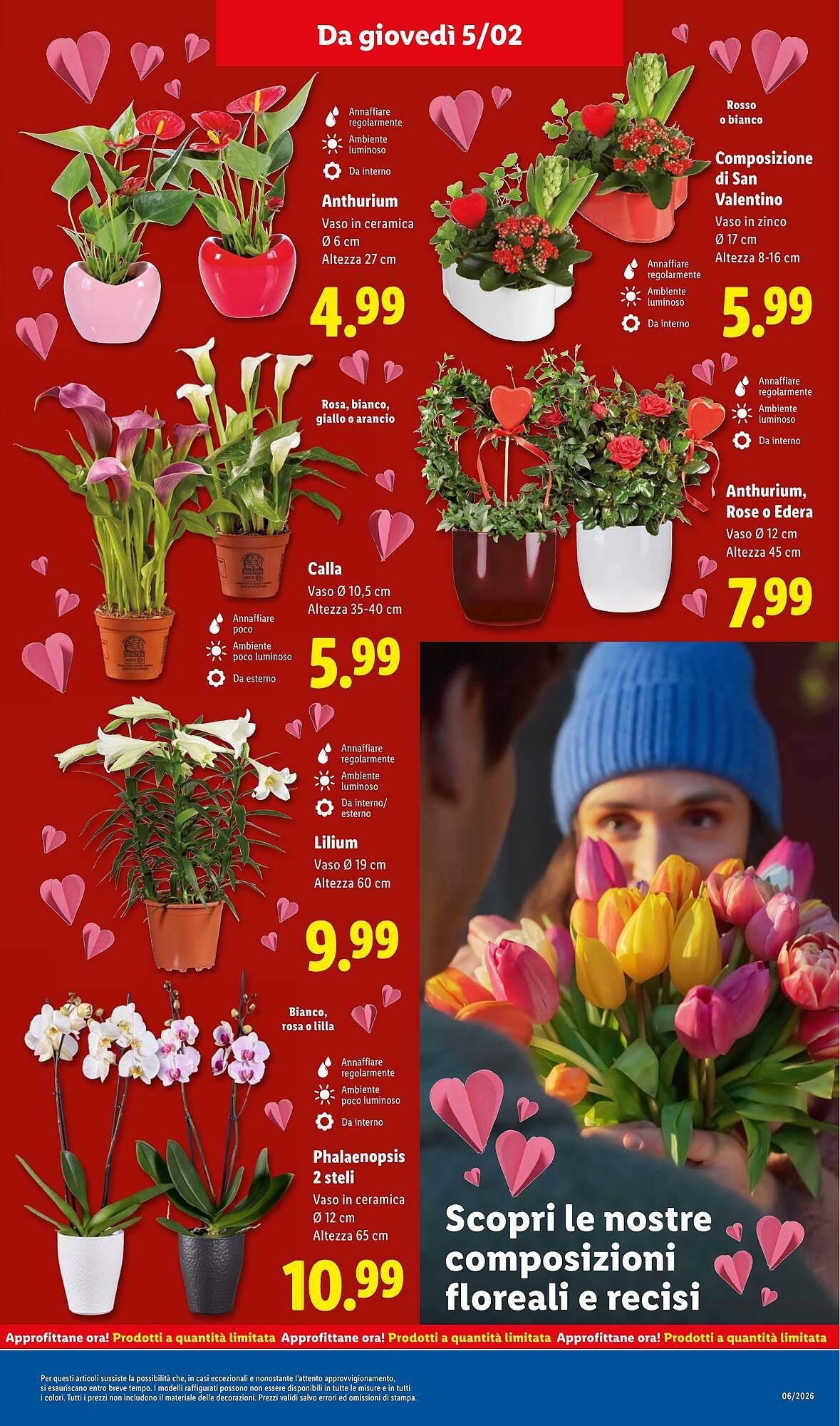 Volantino Lidl (2026-02-02 - 2026-02-08)