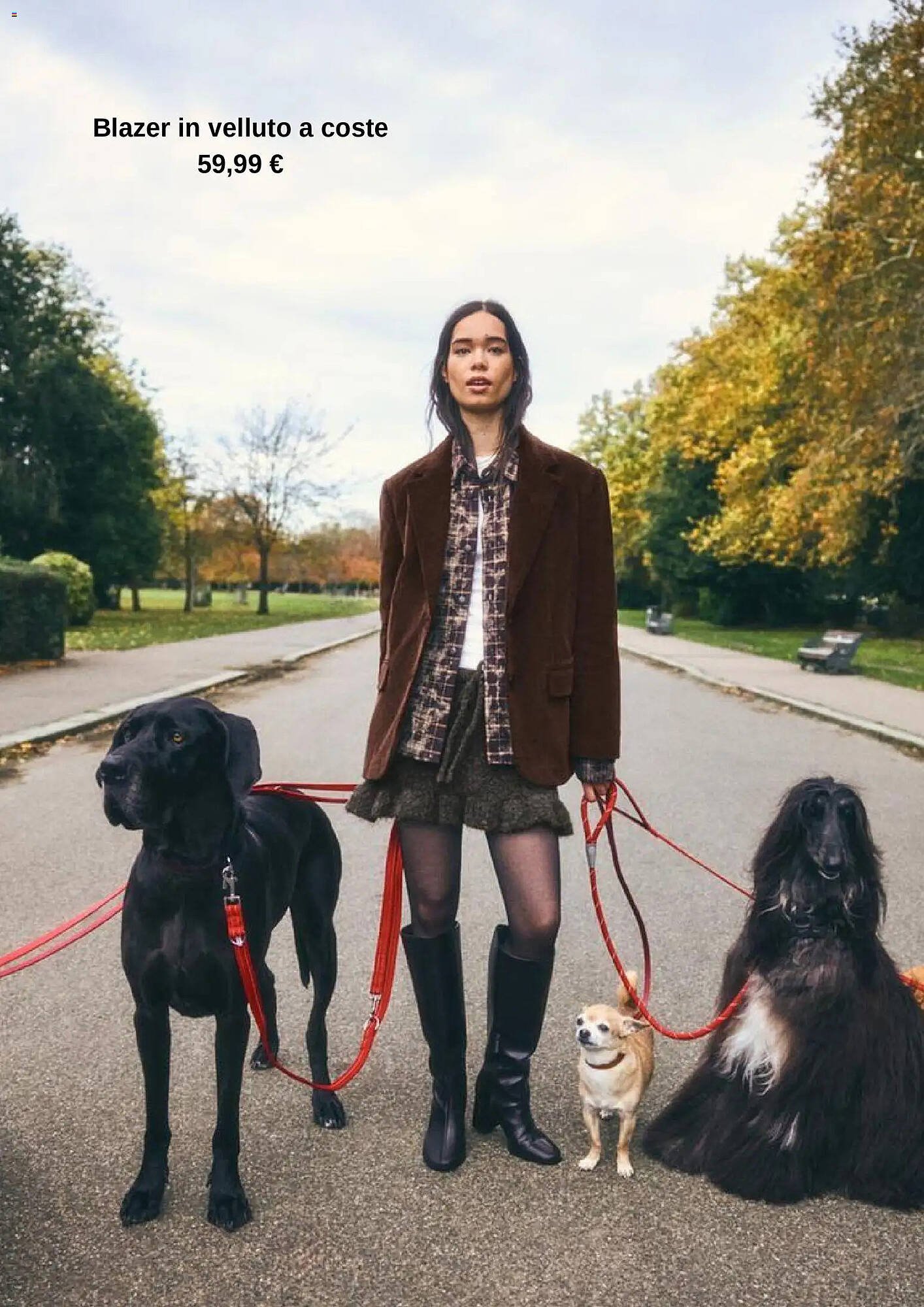 Volantino Bershka (2025-11-20 - 2025-11-30)